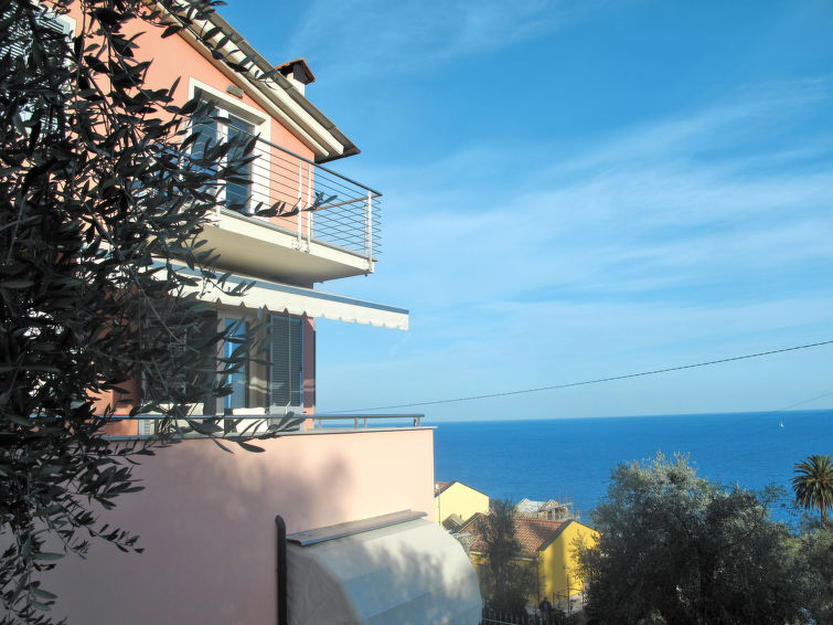 Photo of Ulivi sul Mare