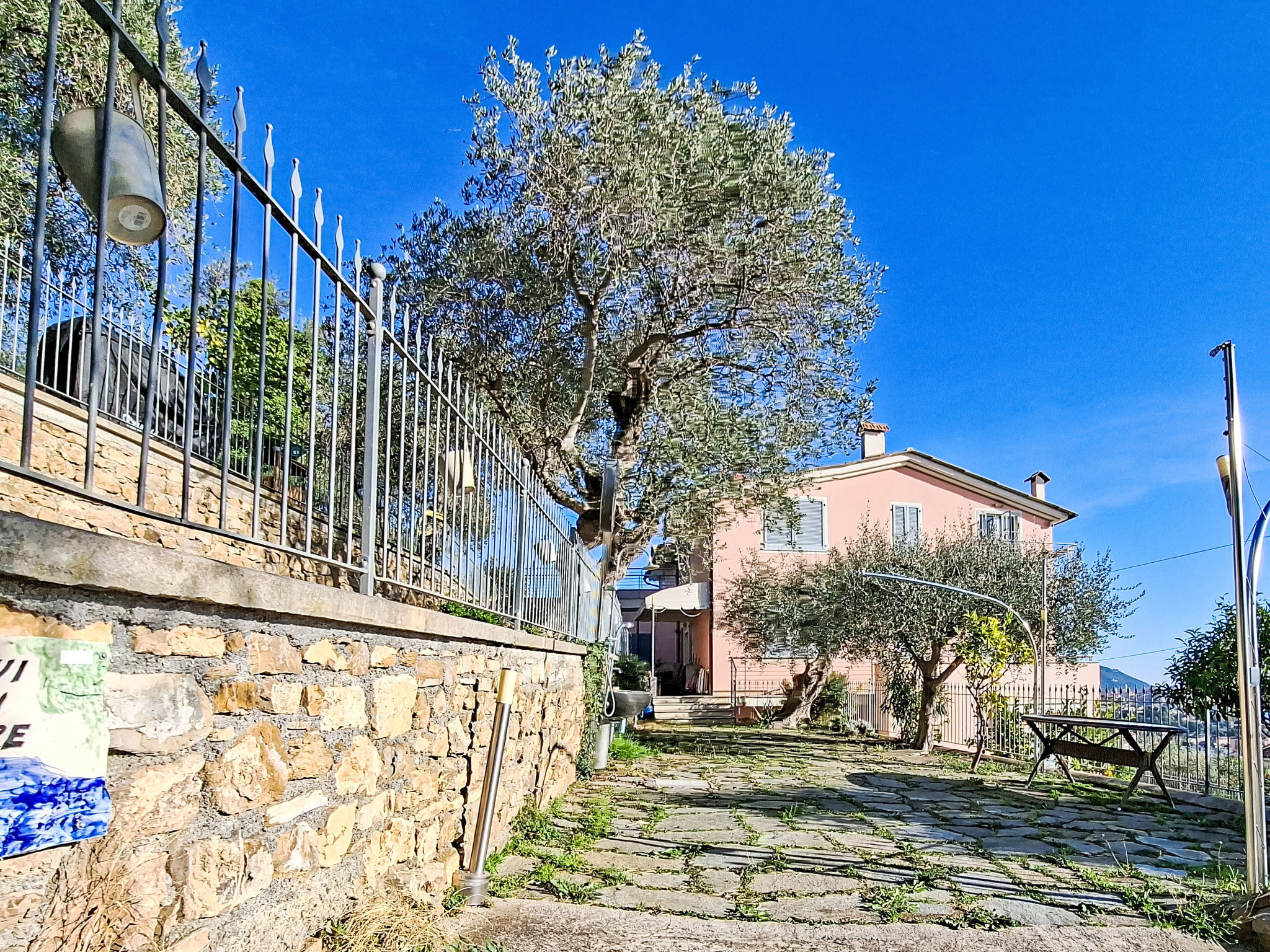 Photo of Ulivi sul Mare