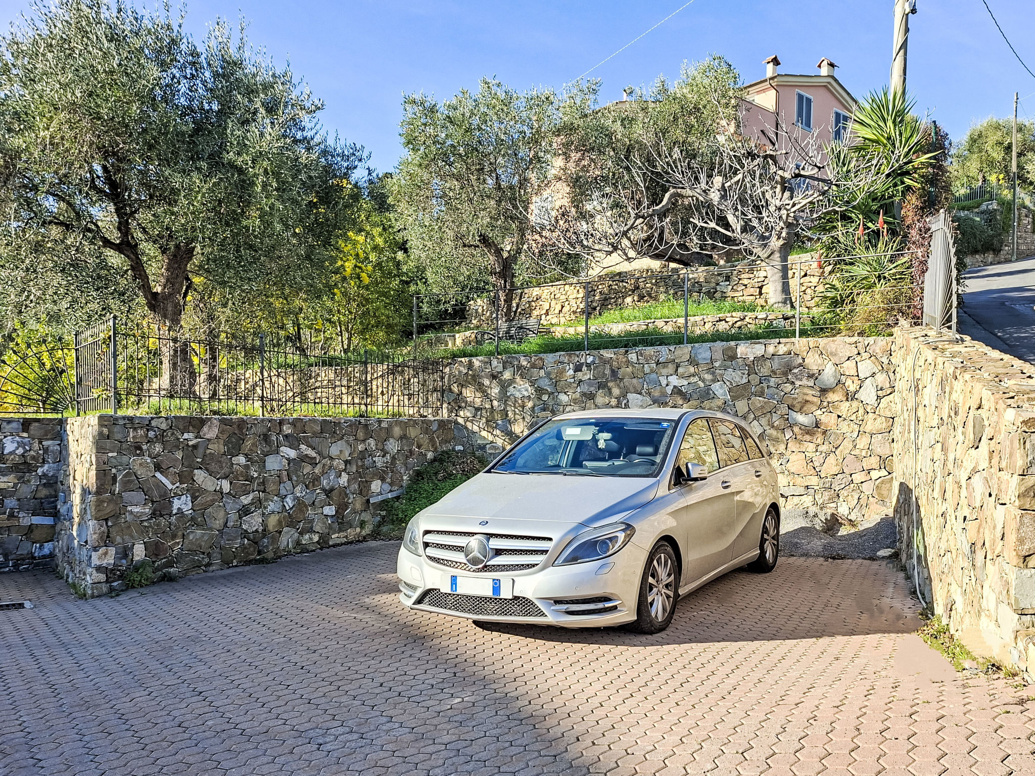 Photo of Ulivi sul Mare