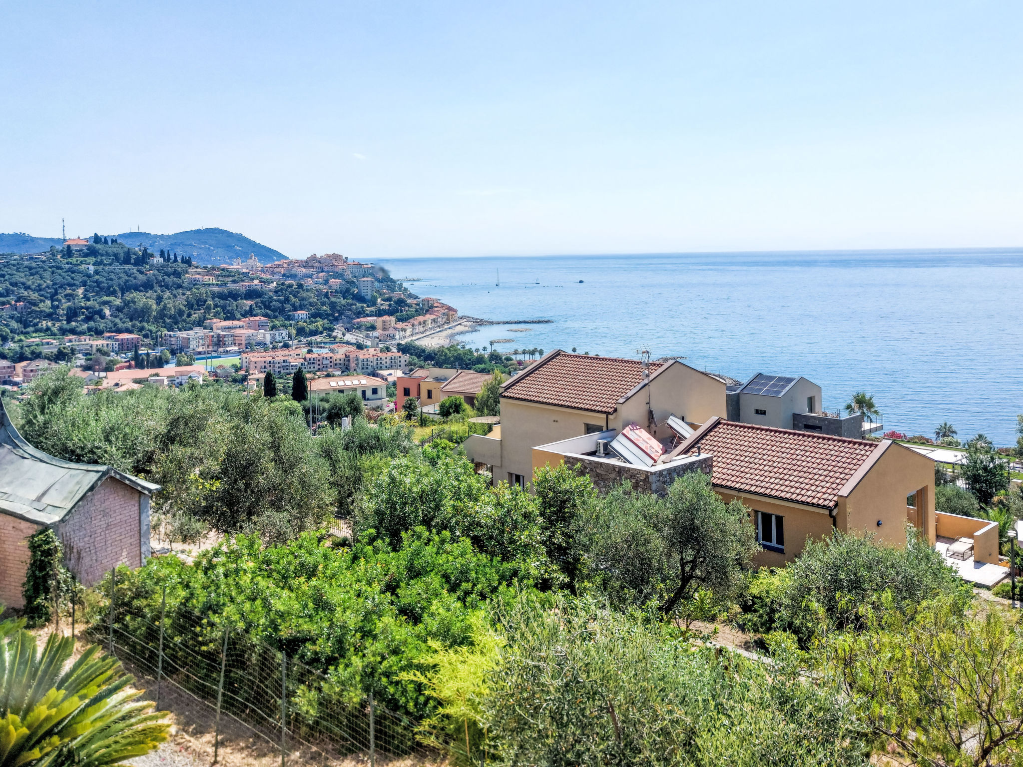 Photo of Ulivi sul Mare