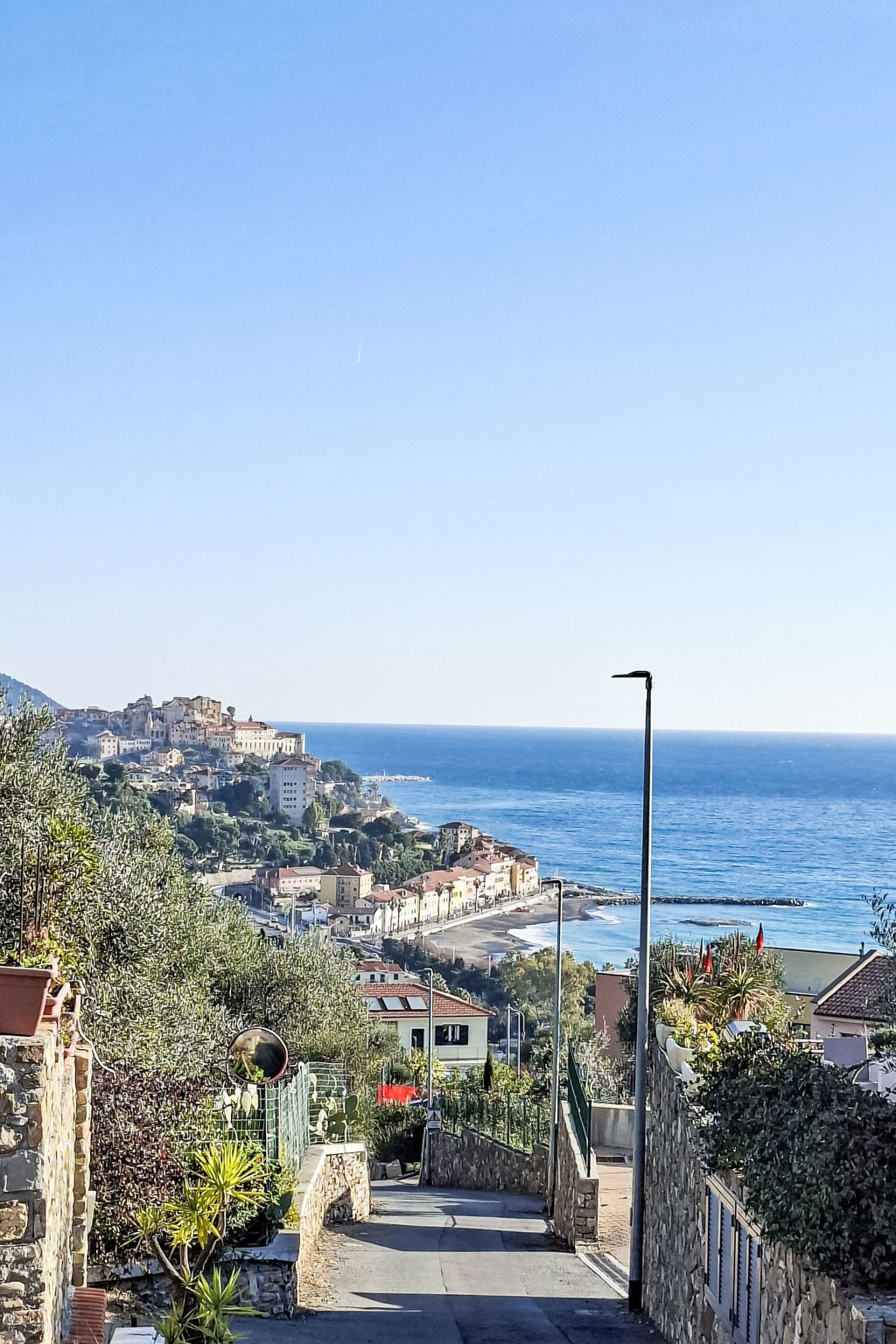 Photo of Ulivi sul Mare