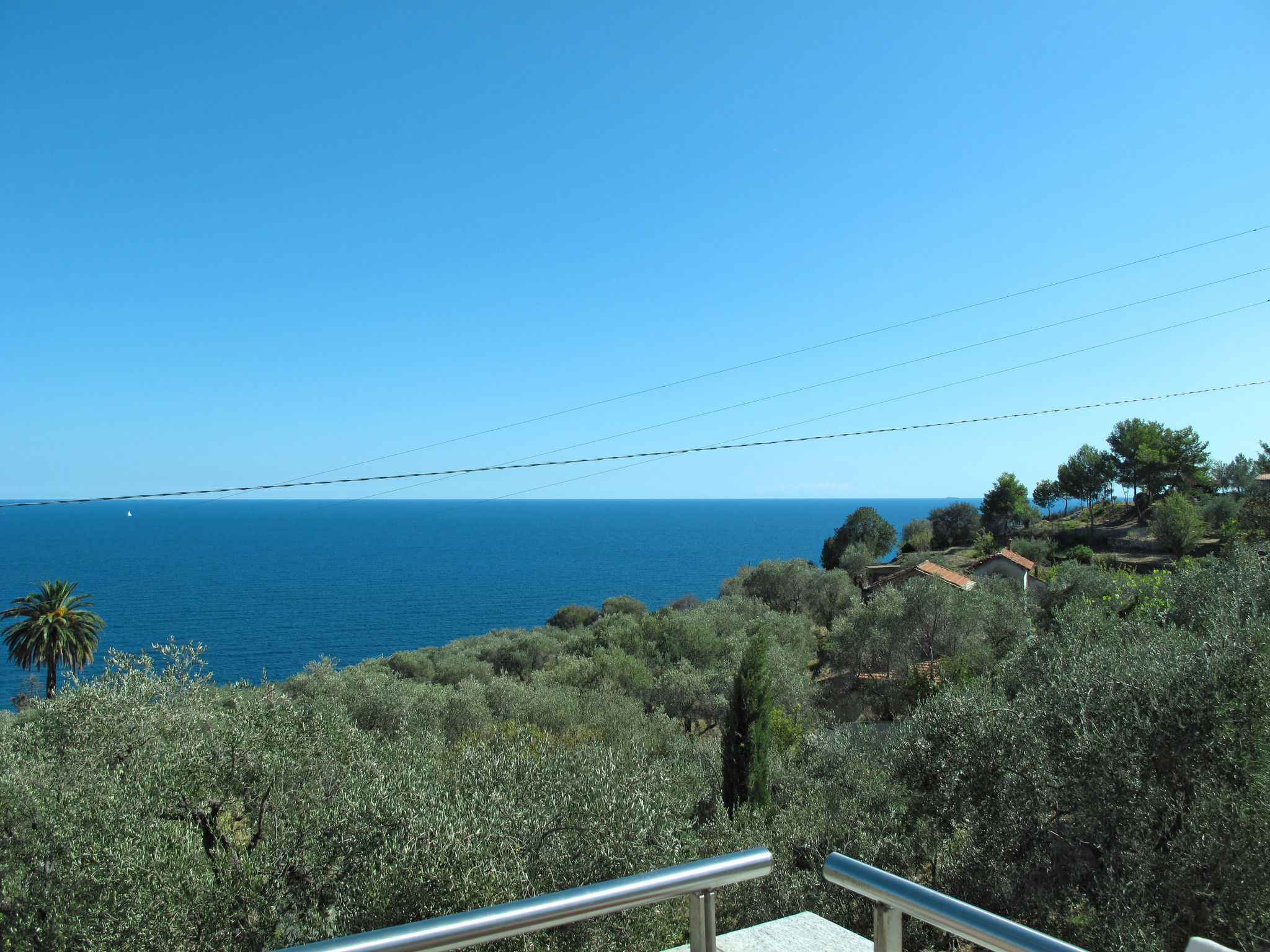 Photo of Ulivi sul Mare