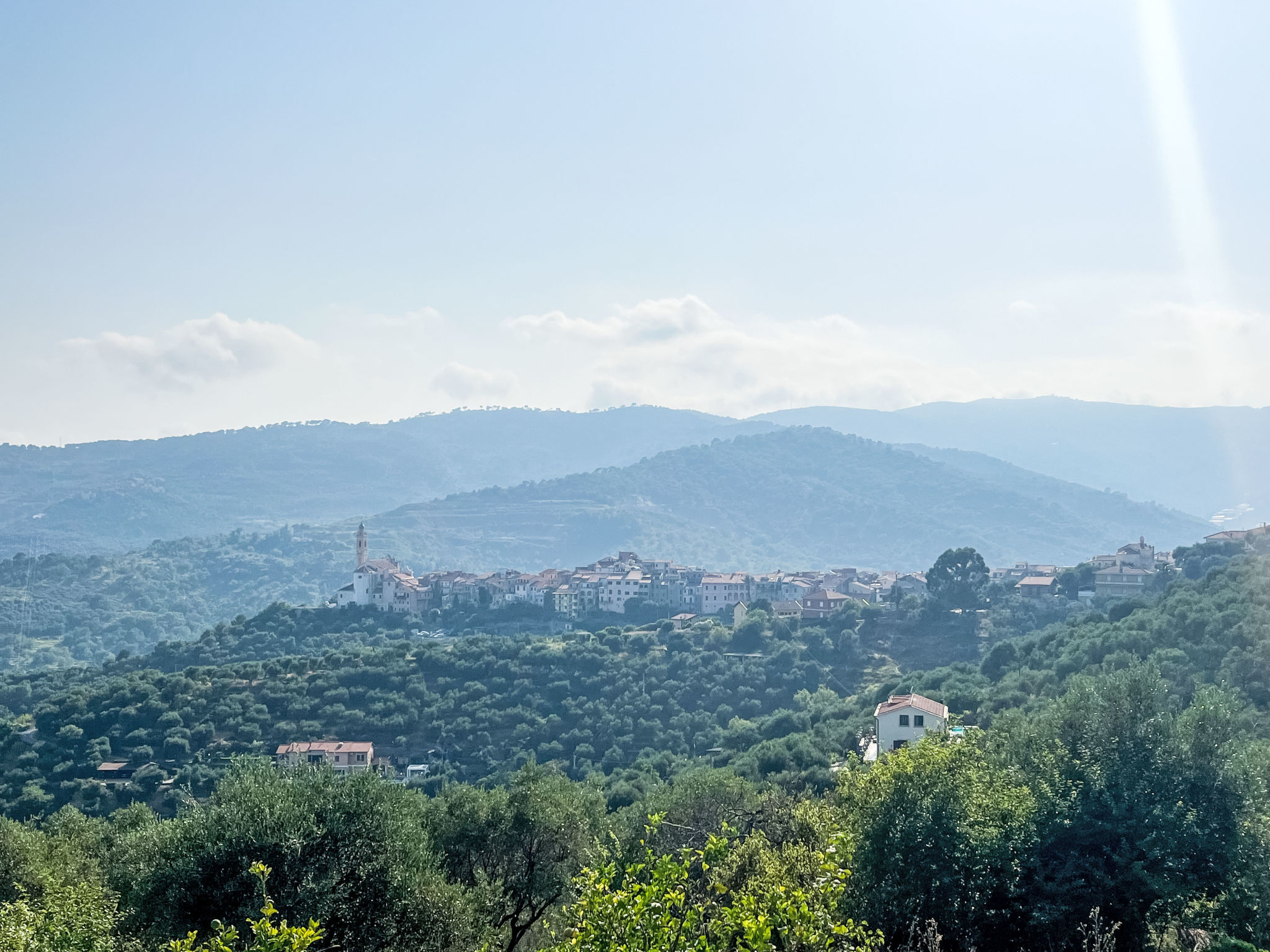 Arancio di Liguria (PGI211)-Dehors