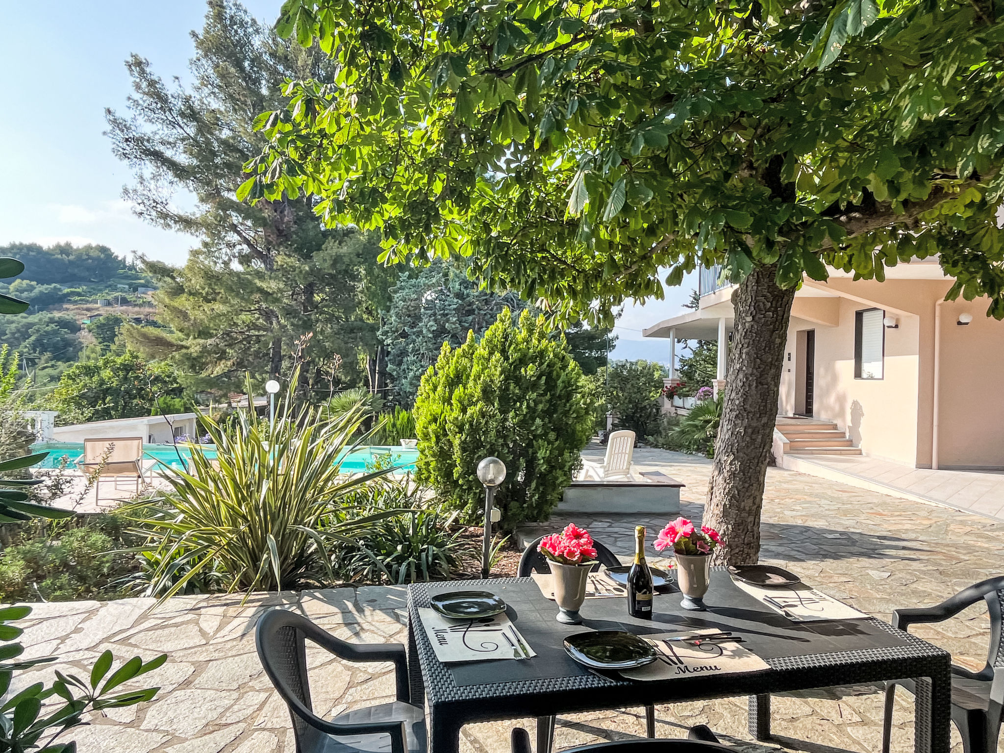 Arancio di Liguria (PGI211)-Dehors