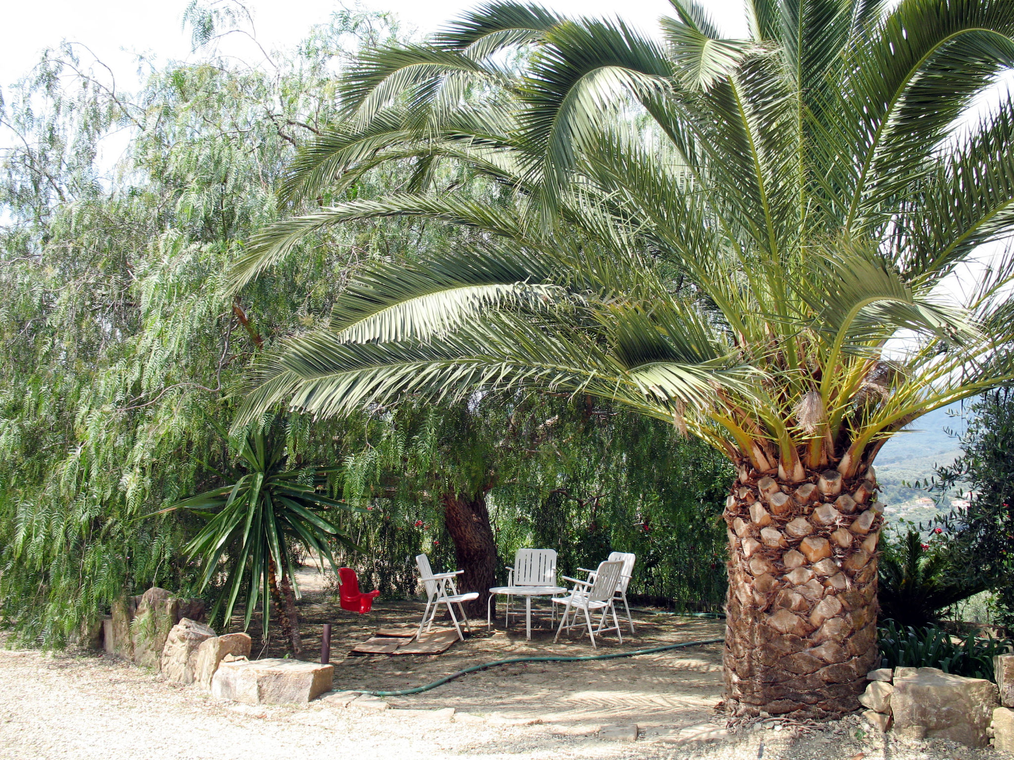 Photo of Angela (PGI126)