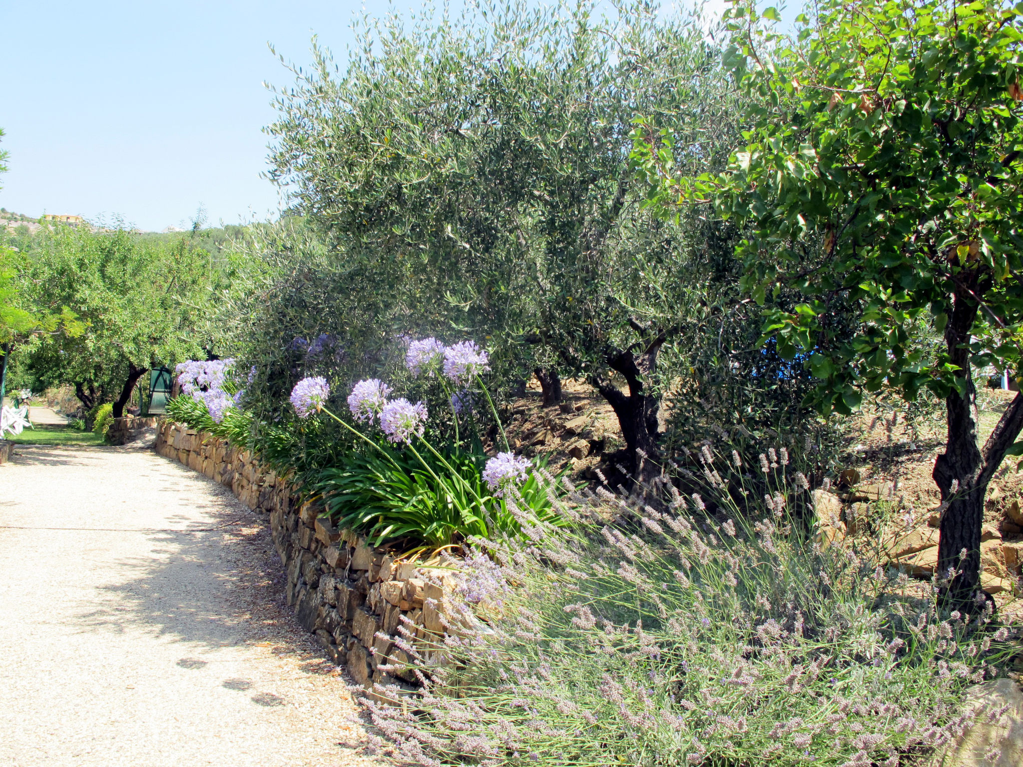 Photo of Angela (PGI126)