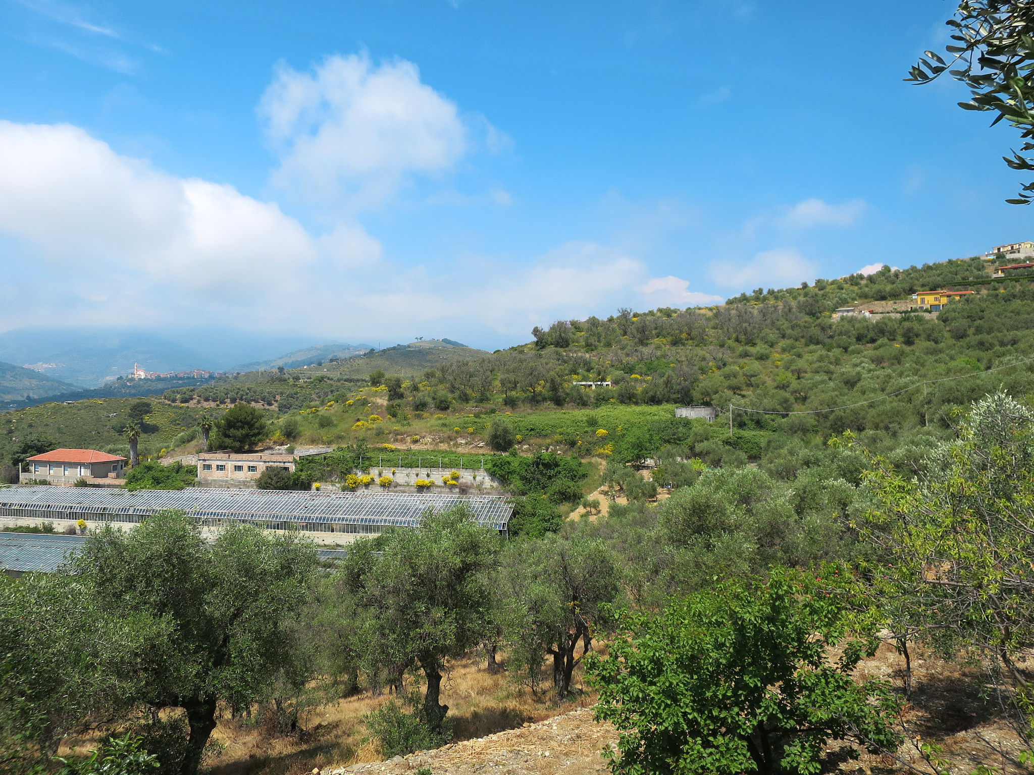 Photo of Angela (PGI126)