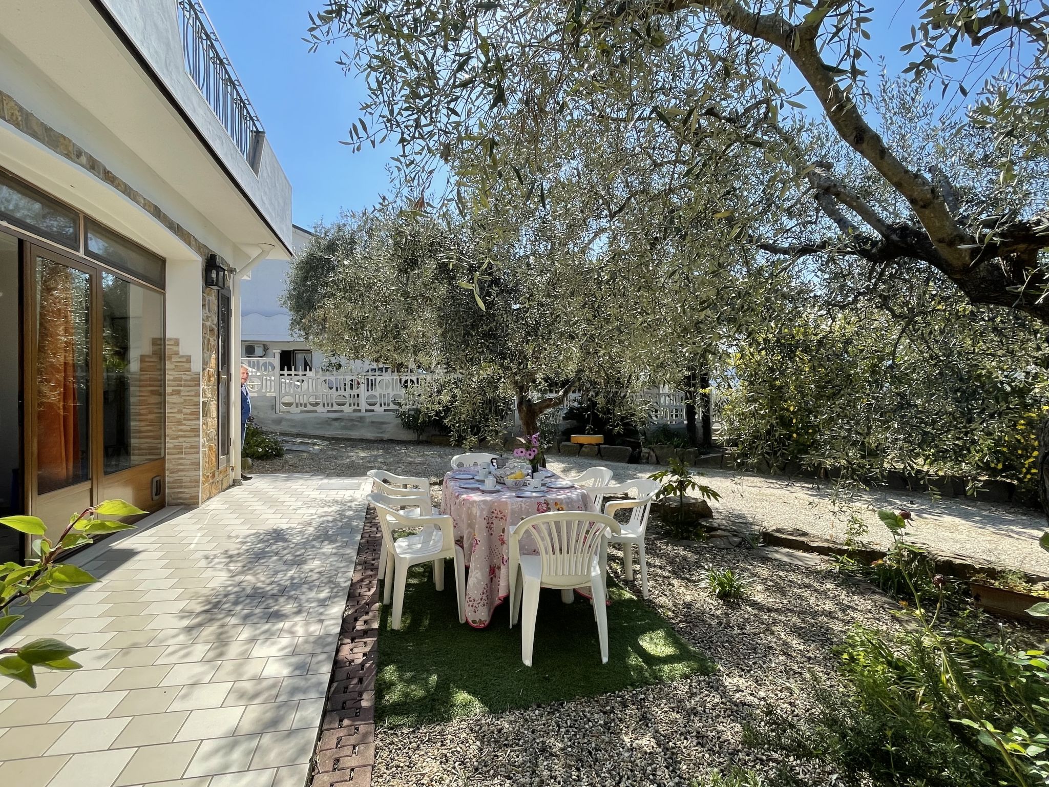 Photo of Olivo (PGI128)