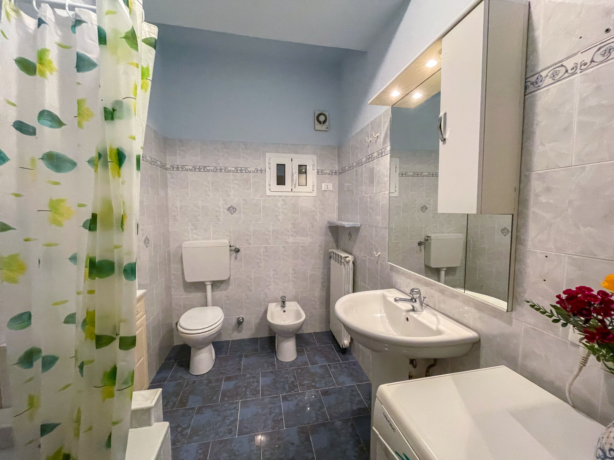 Photo of Olivo (PGI128)