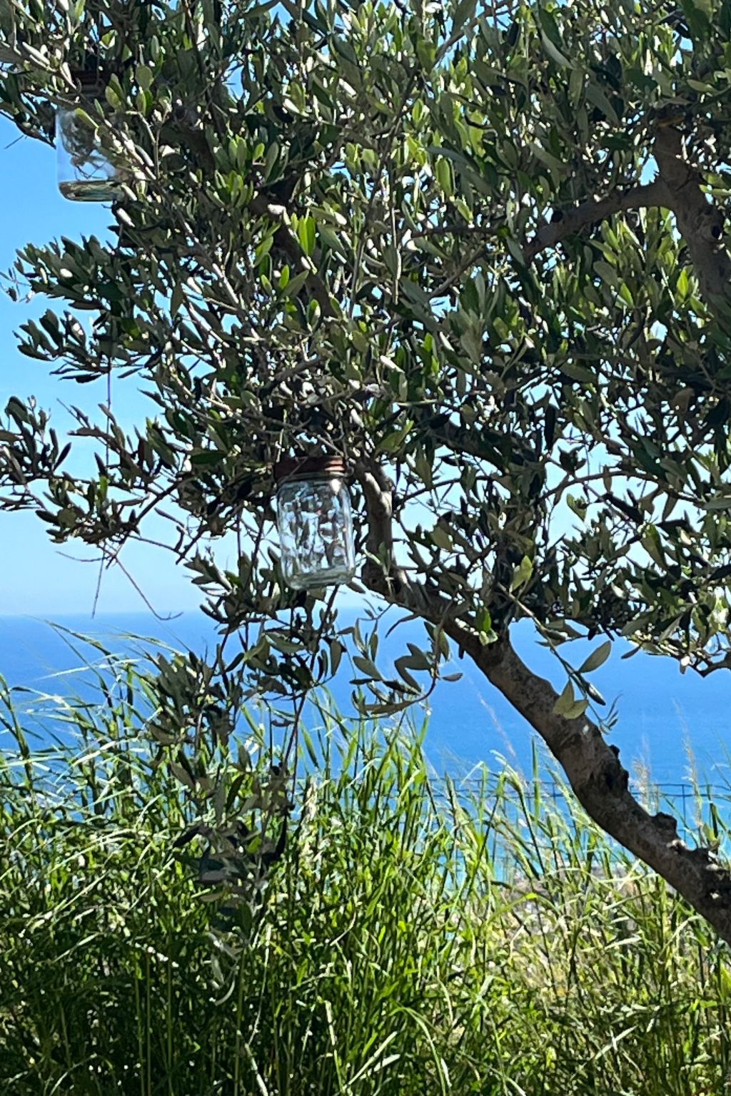 Bella Vista Poggi 180 Grad Fantastischer Meerblick-Inside