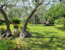 Apartment Alberto A