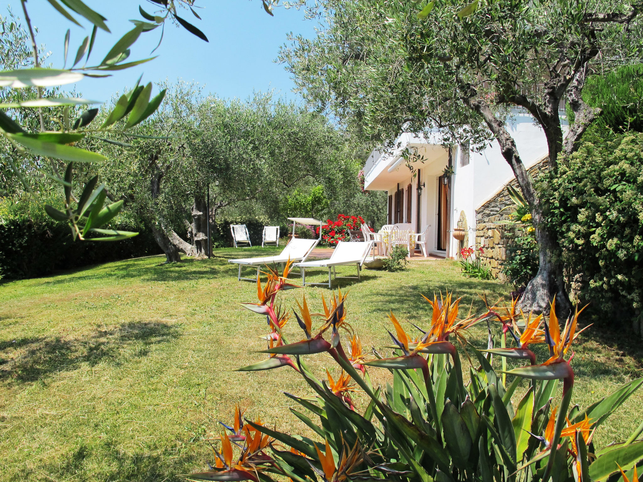 Ferienhaus mit umzäuntem Garten in Diano Marina (Italien) und 1 Hund erlaubt