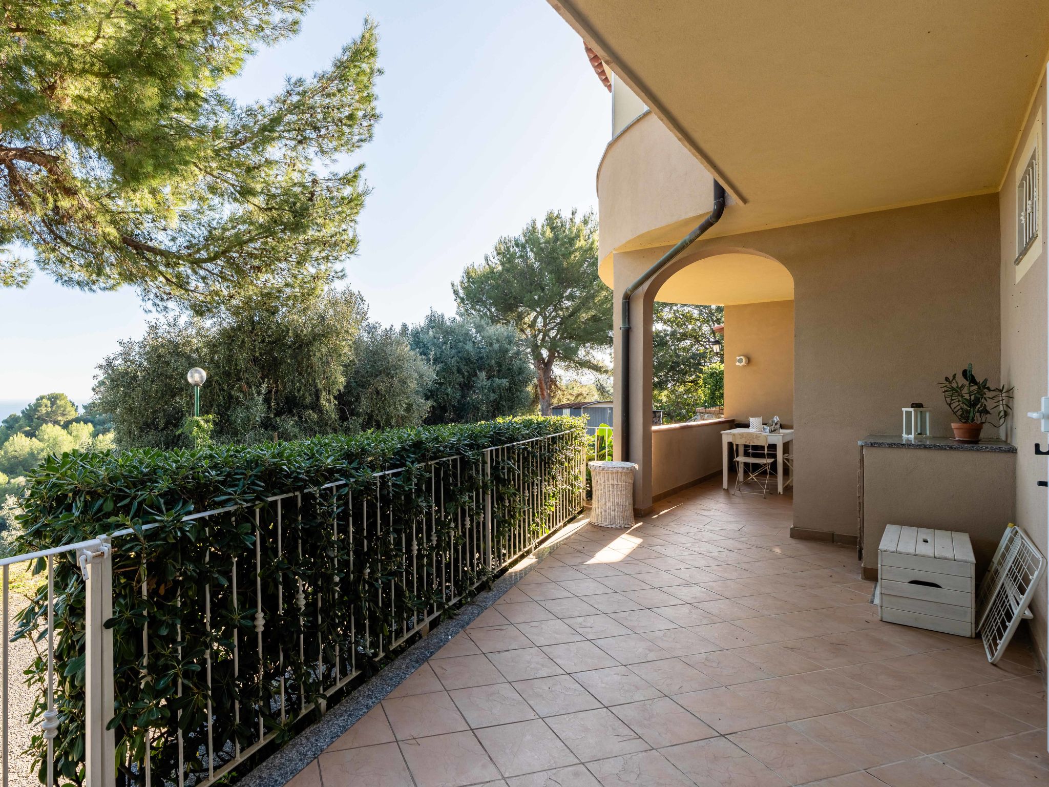 Photo of Zenzero e Cannella