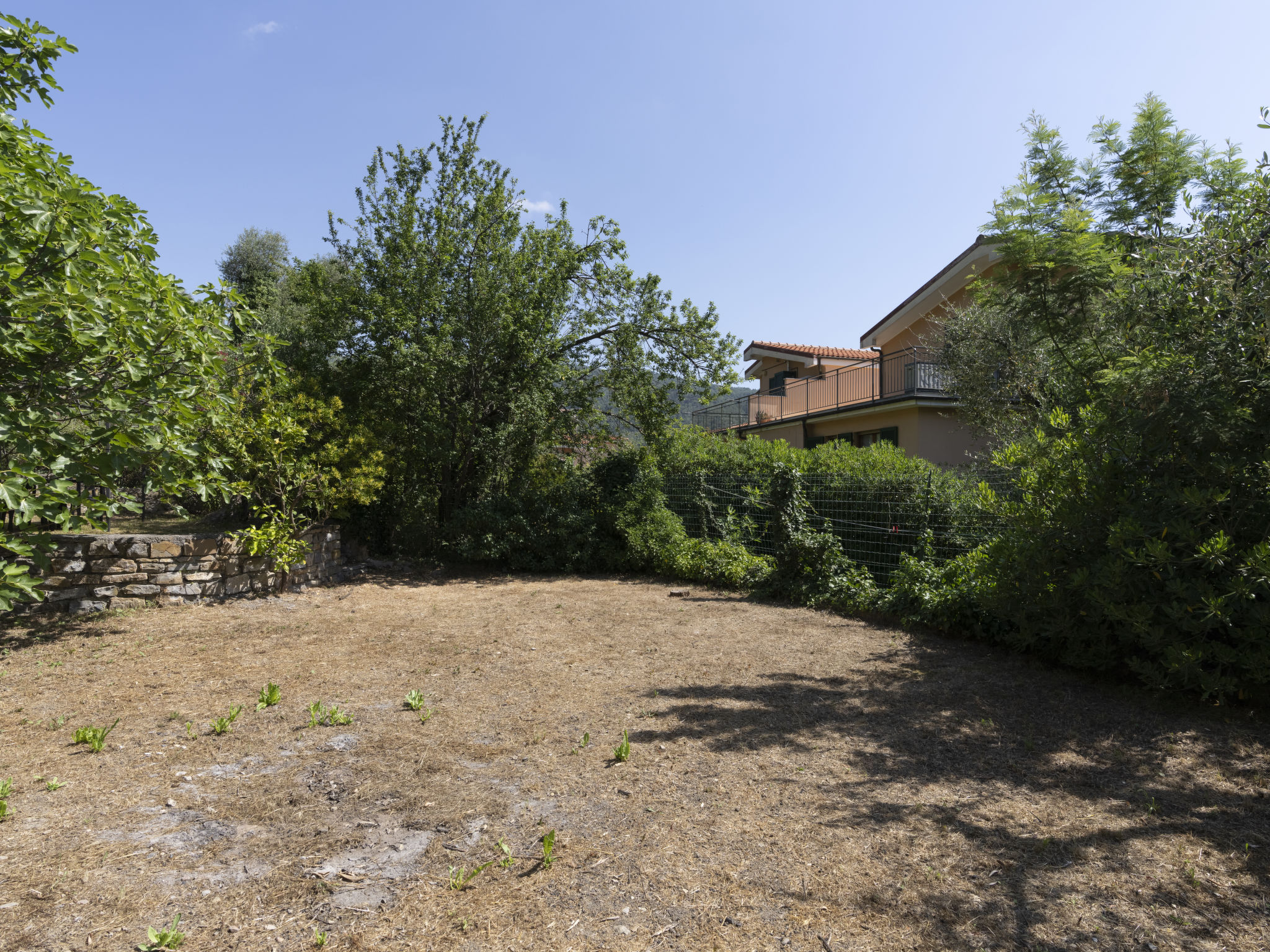 Photo of Verde Adagio