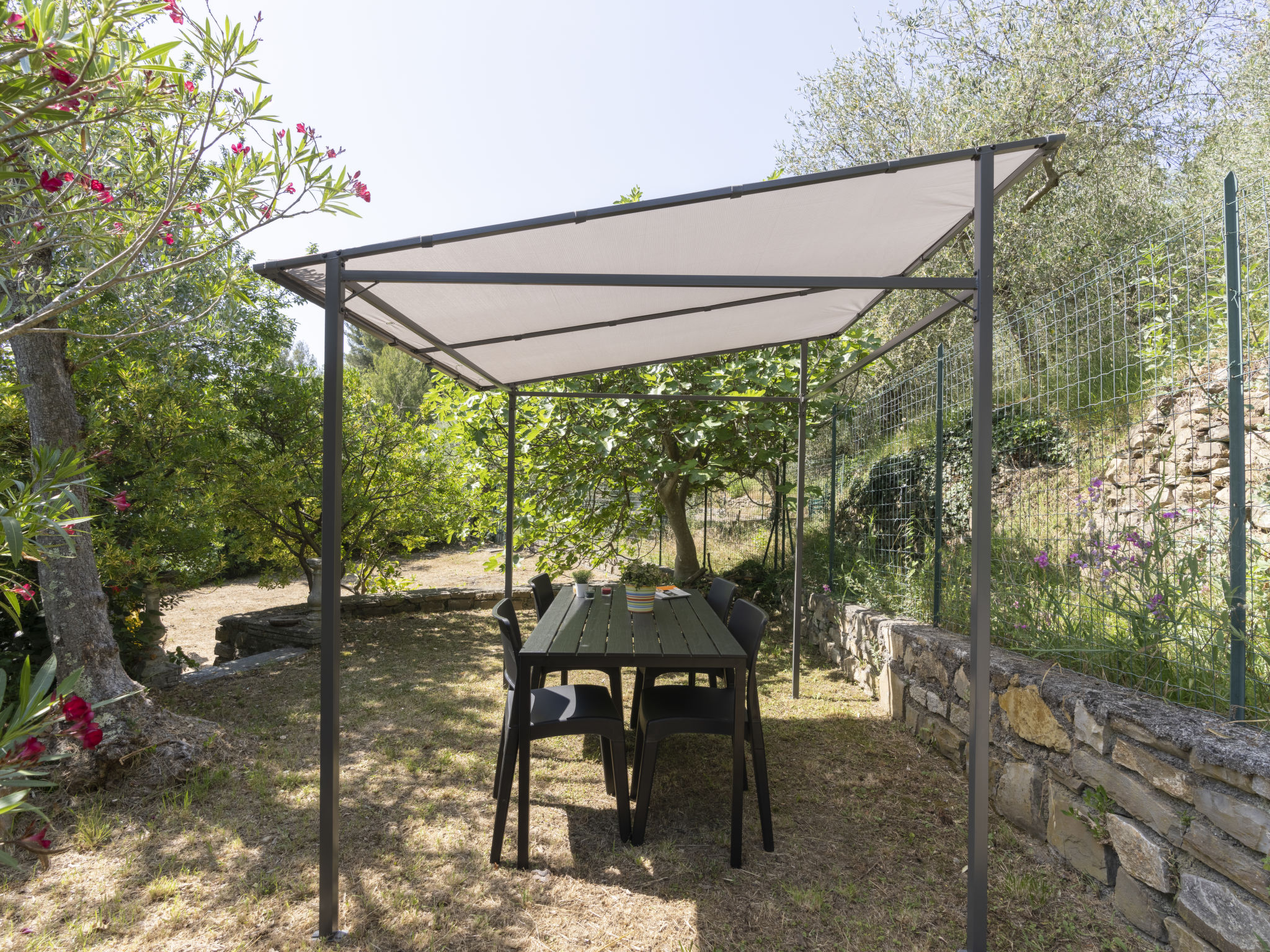 Photo of Verde Adagio