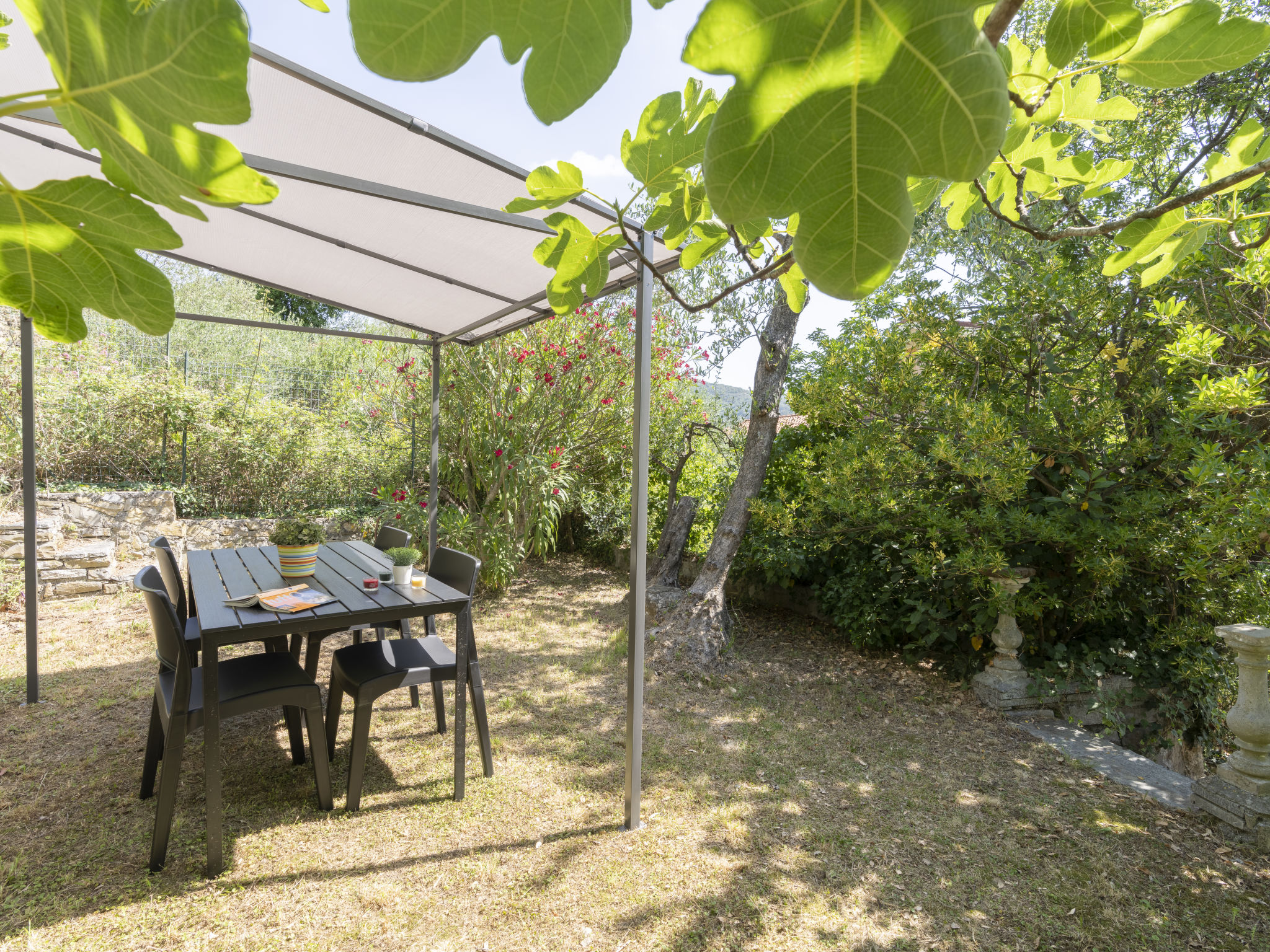 Photo of Verde Adagio