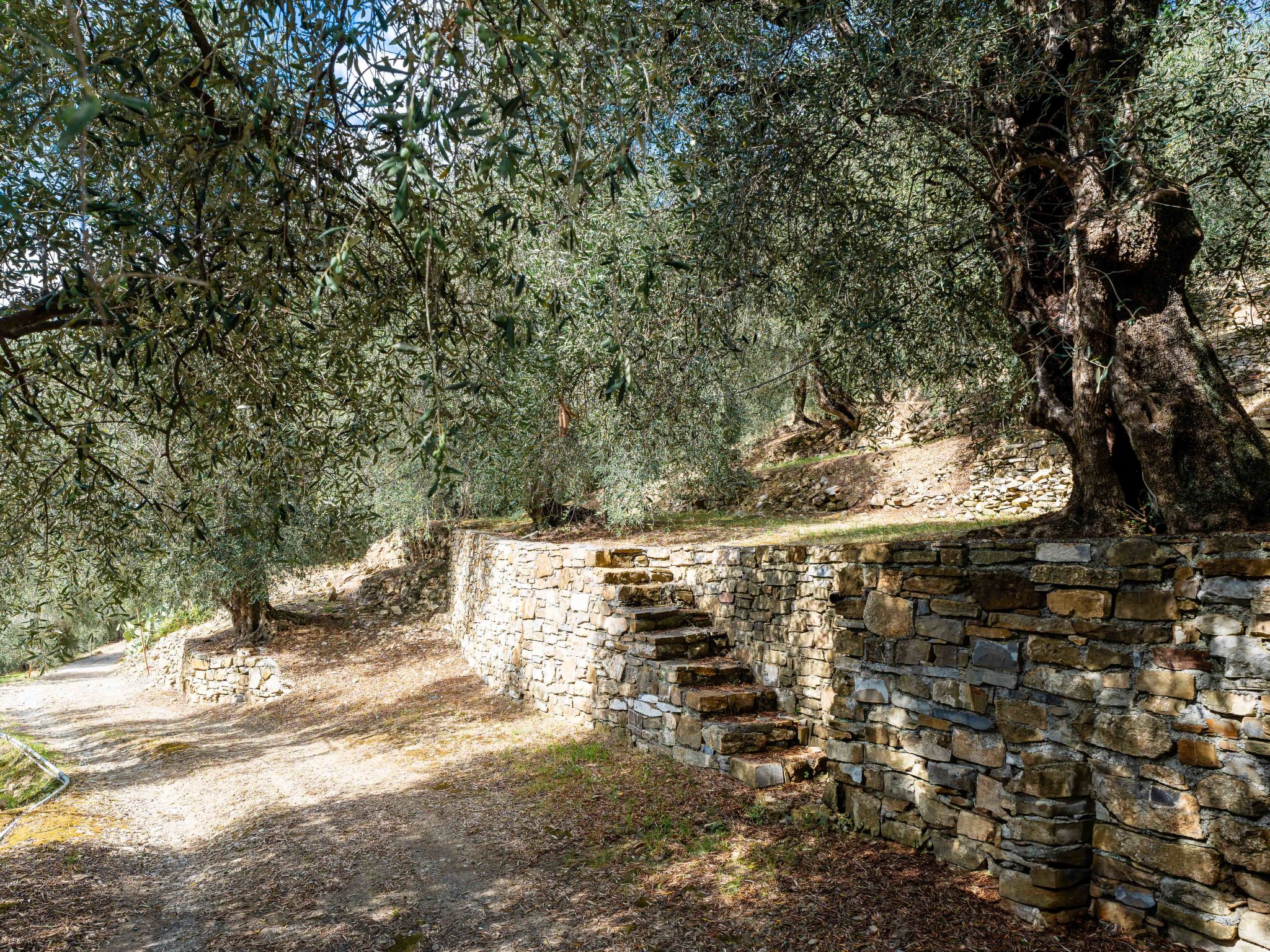 Gravel's House-Buiten