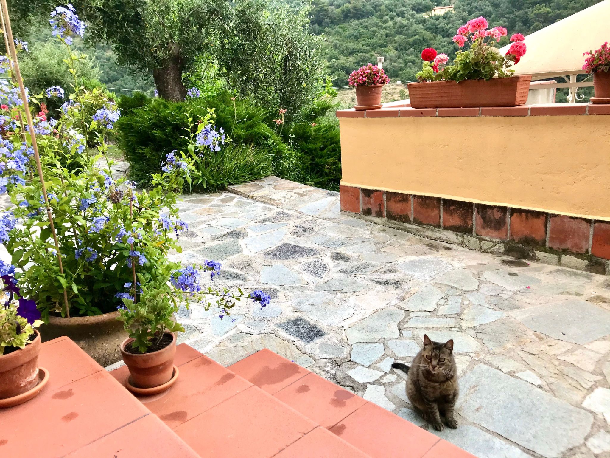 Casa Belvedere-Binnen