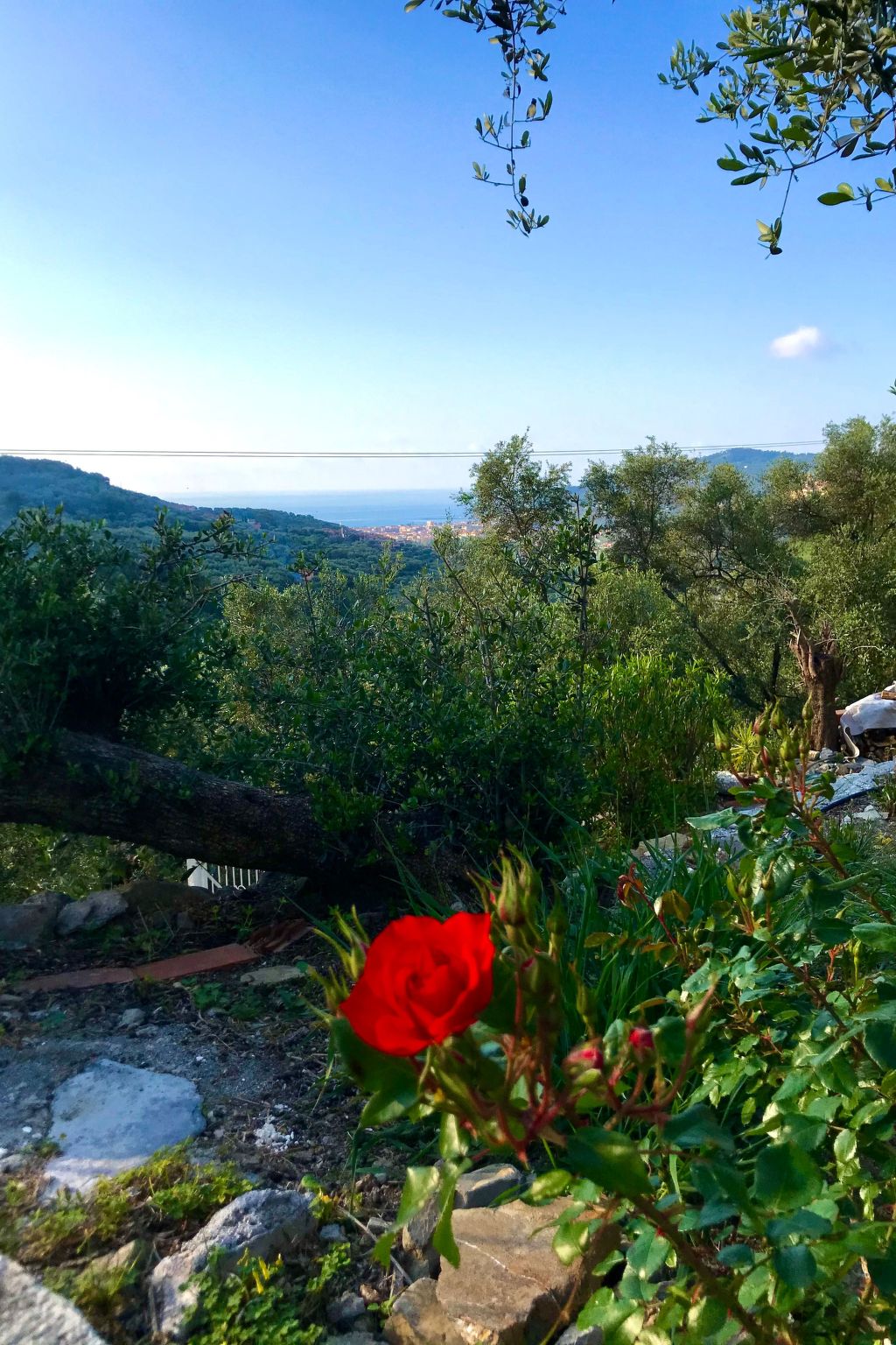 Casa Belvedere-Binnen