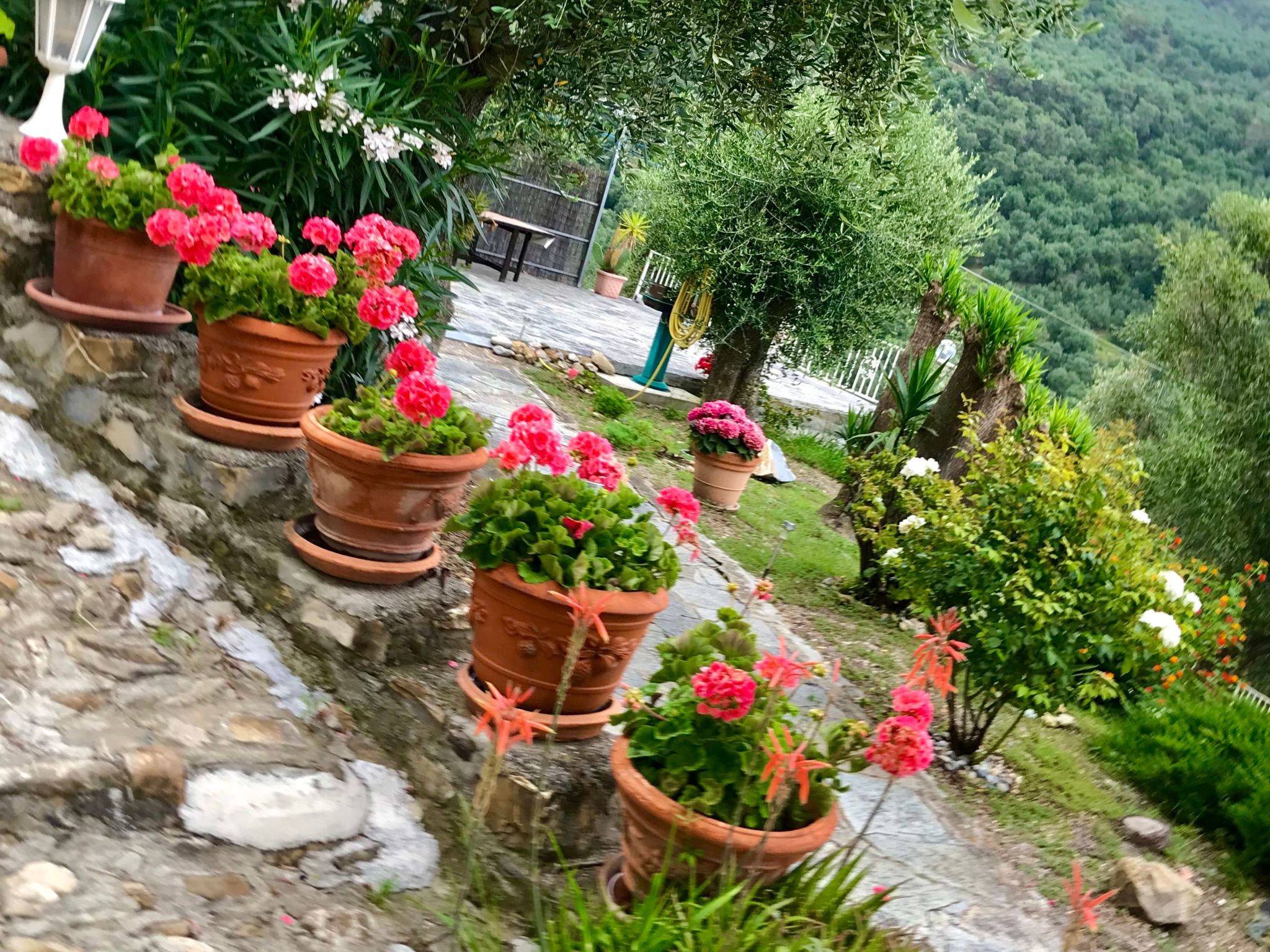 Casa Belvedere-Binnen