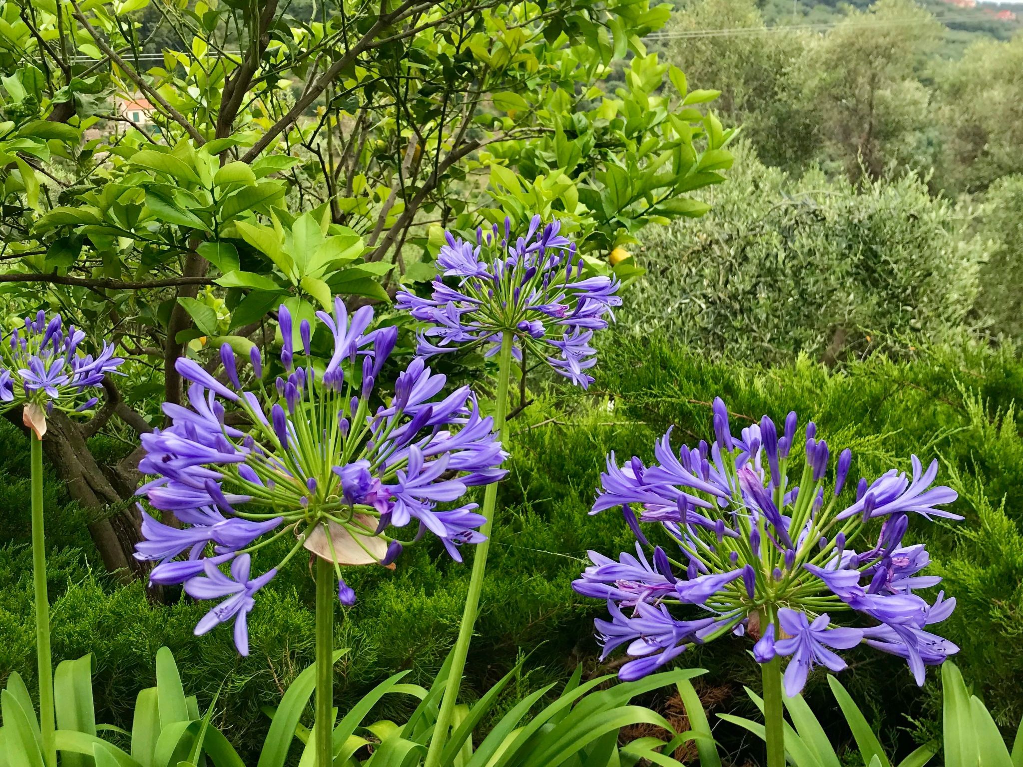 Casa Belvedere-Binnen
