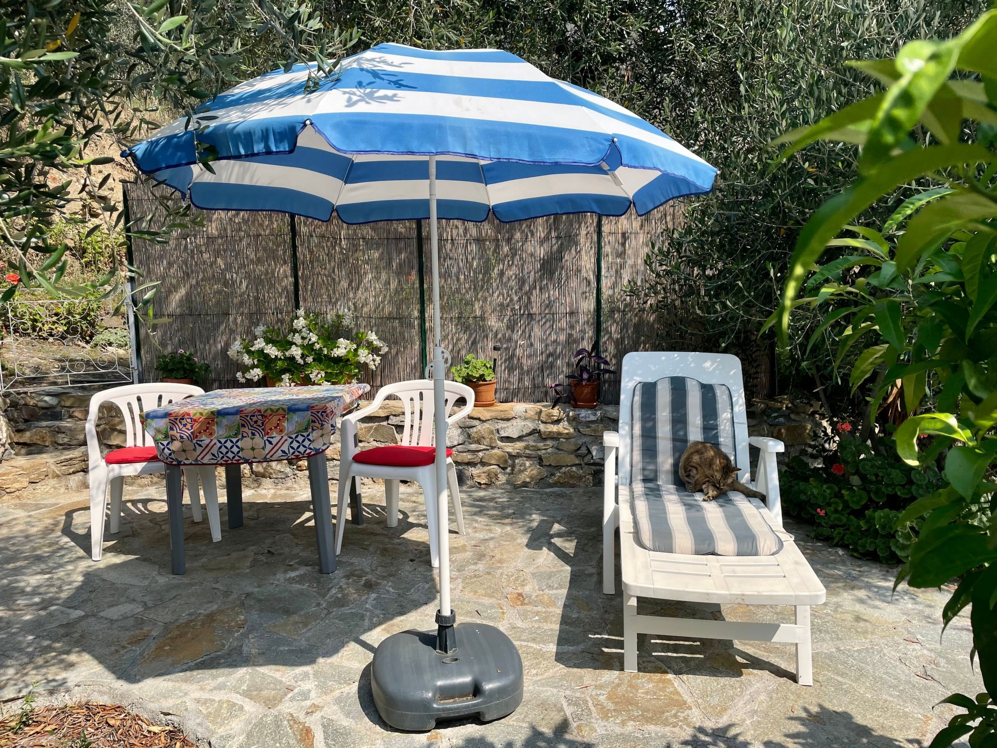 Piccola navetta-Inside