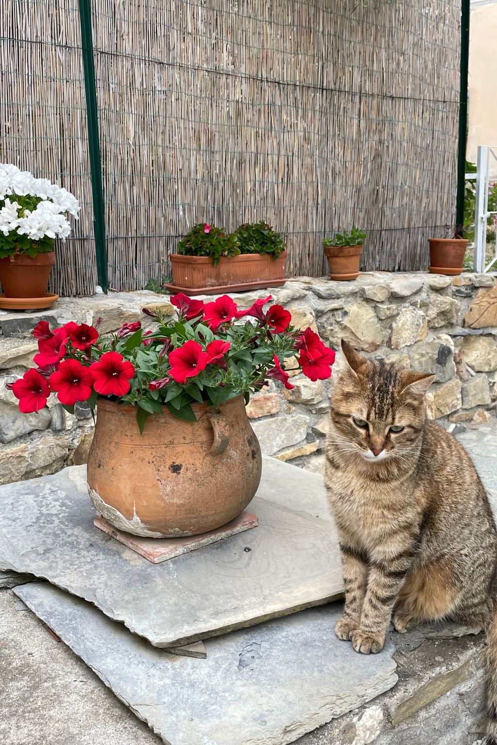 Piccola navetta-Inside