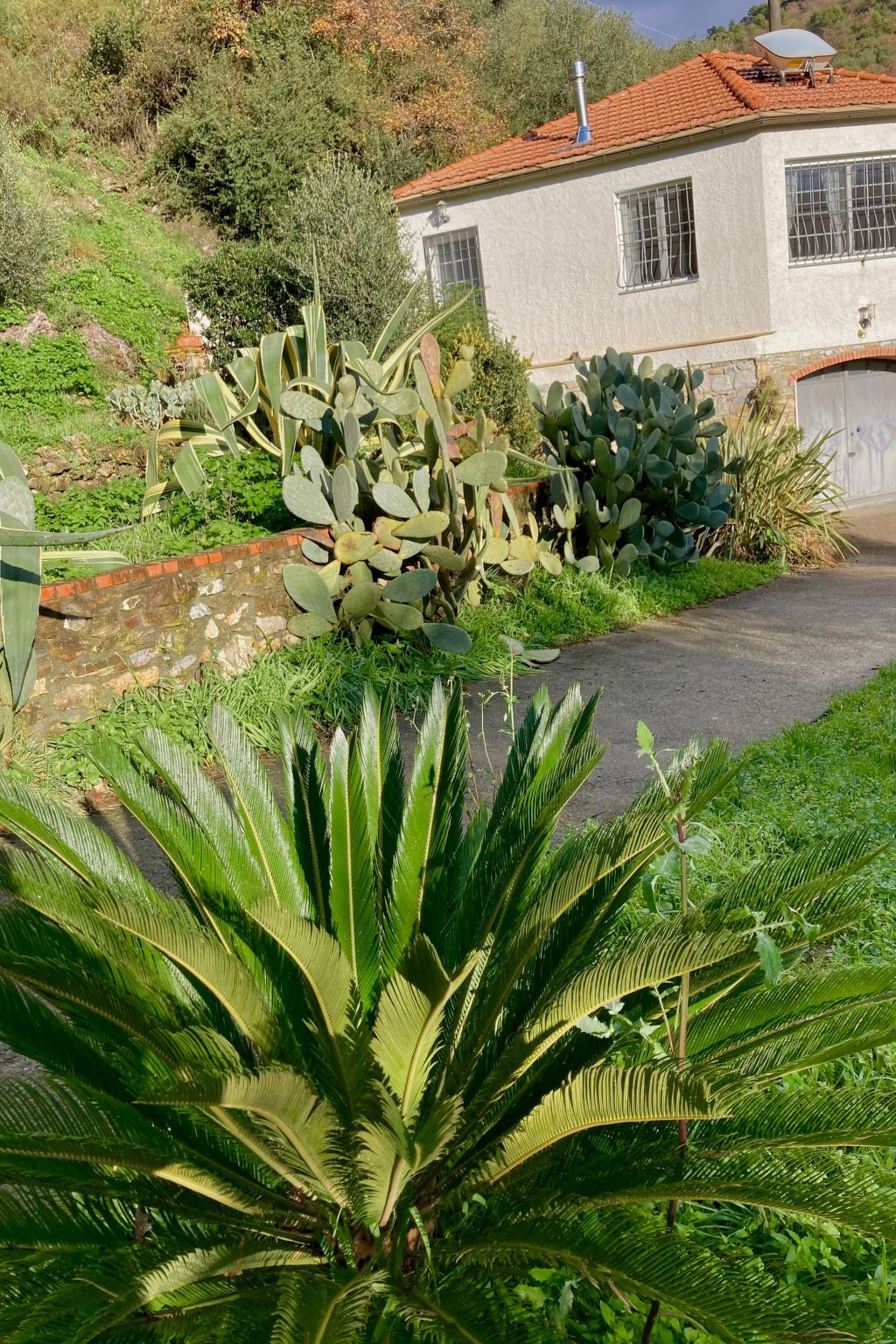 Casa Mediteraneo-Inside