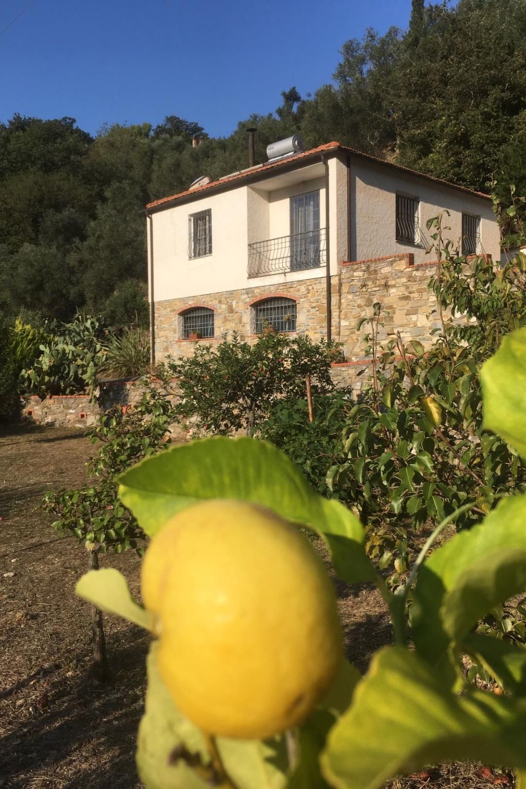 Casa Mediteraneo-Inside