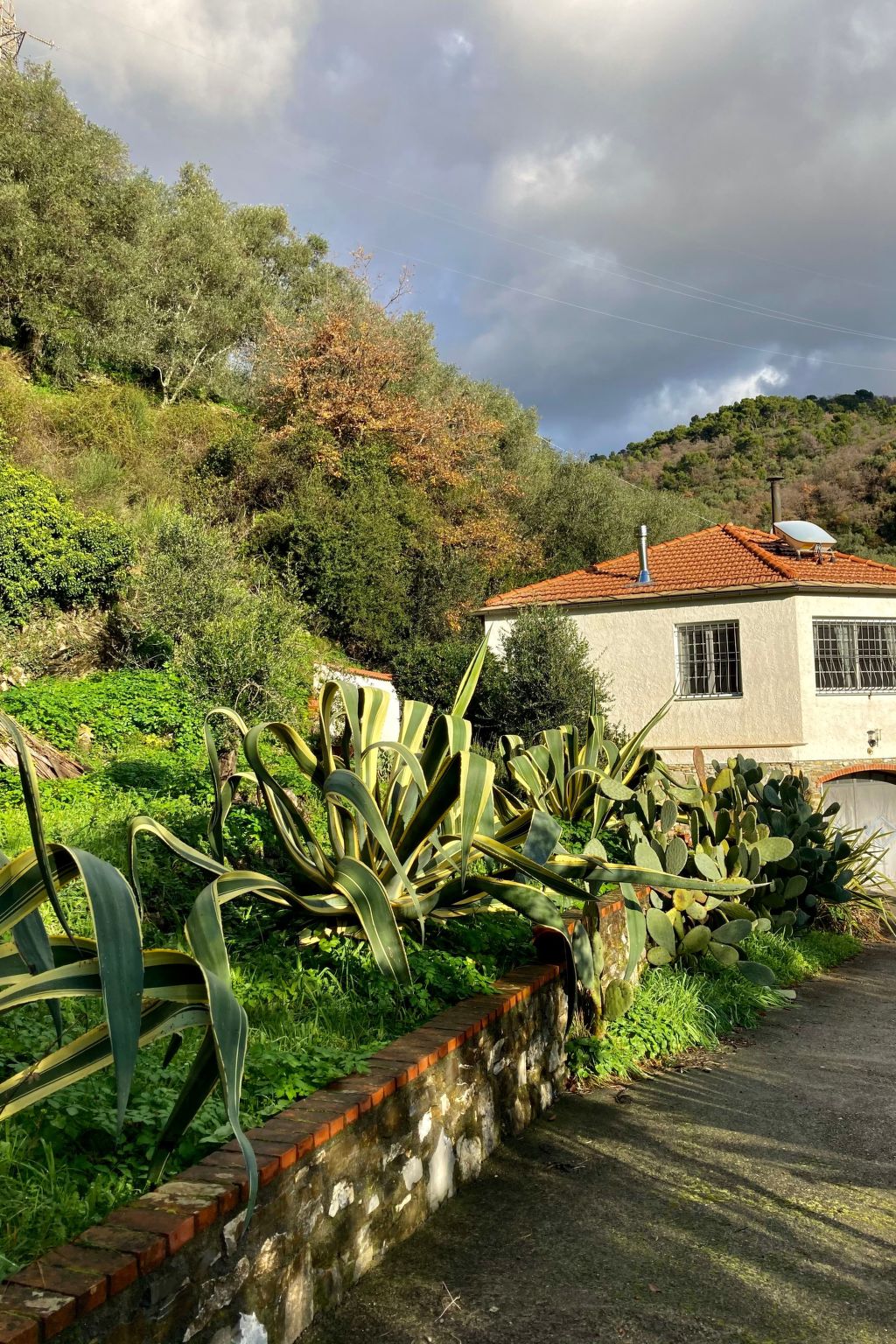 Casa Mediteraneo-Inside