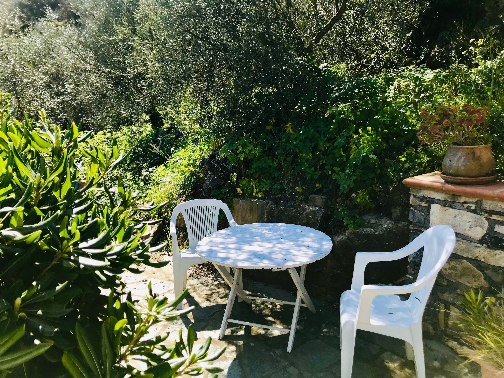 Casa Mediteraneo-Inside