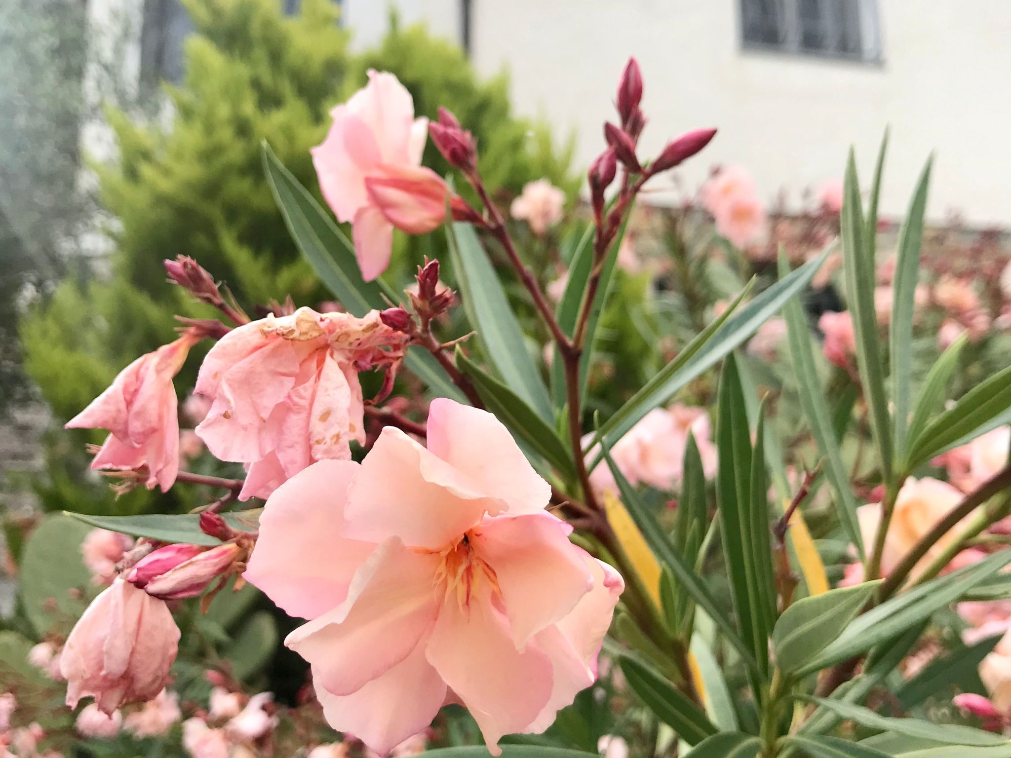 Casa Mediteraneo-Inside