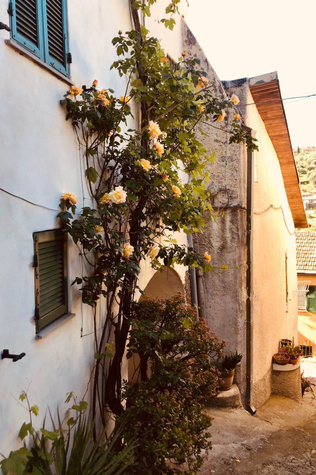 Casa Mediteraneo-Inside