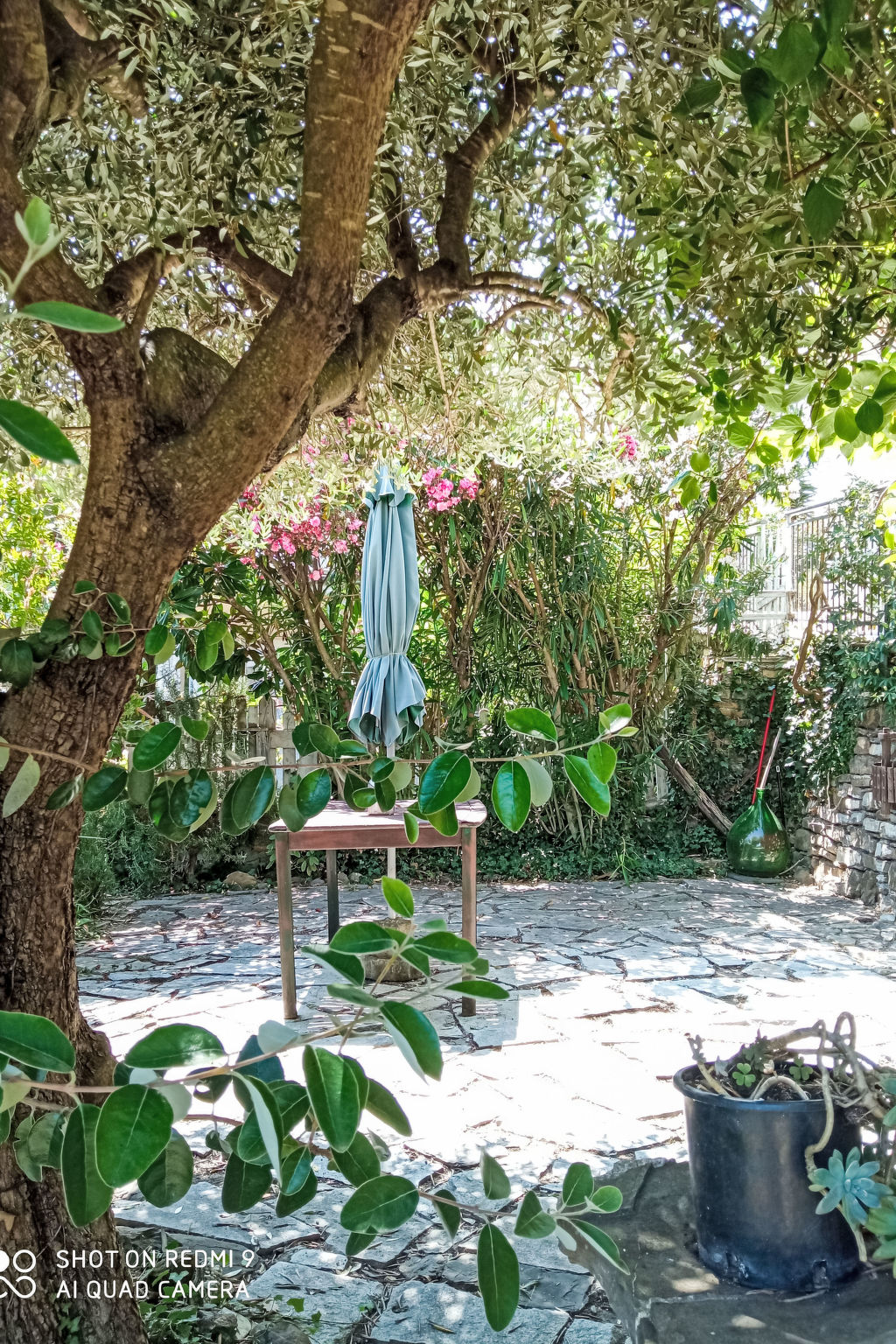Schönes Ferienhaus mit Garten und Whirlpool - Buiten