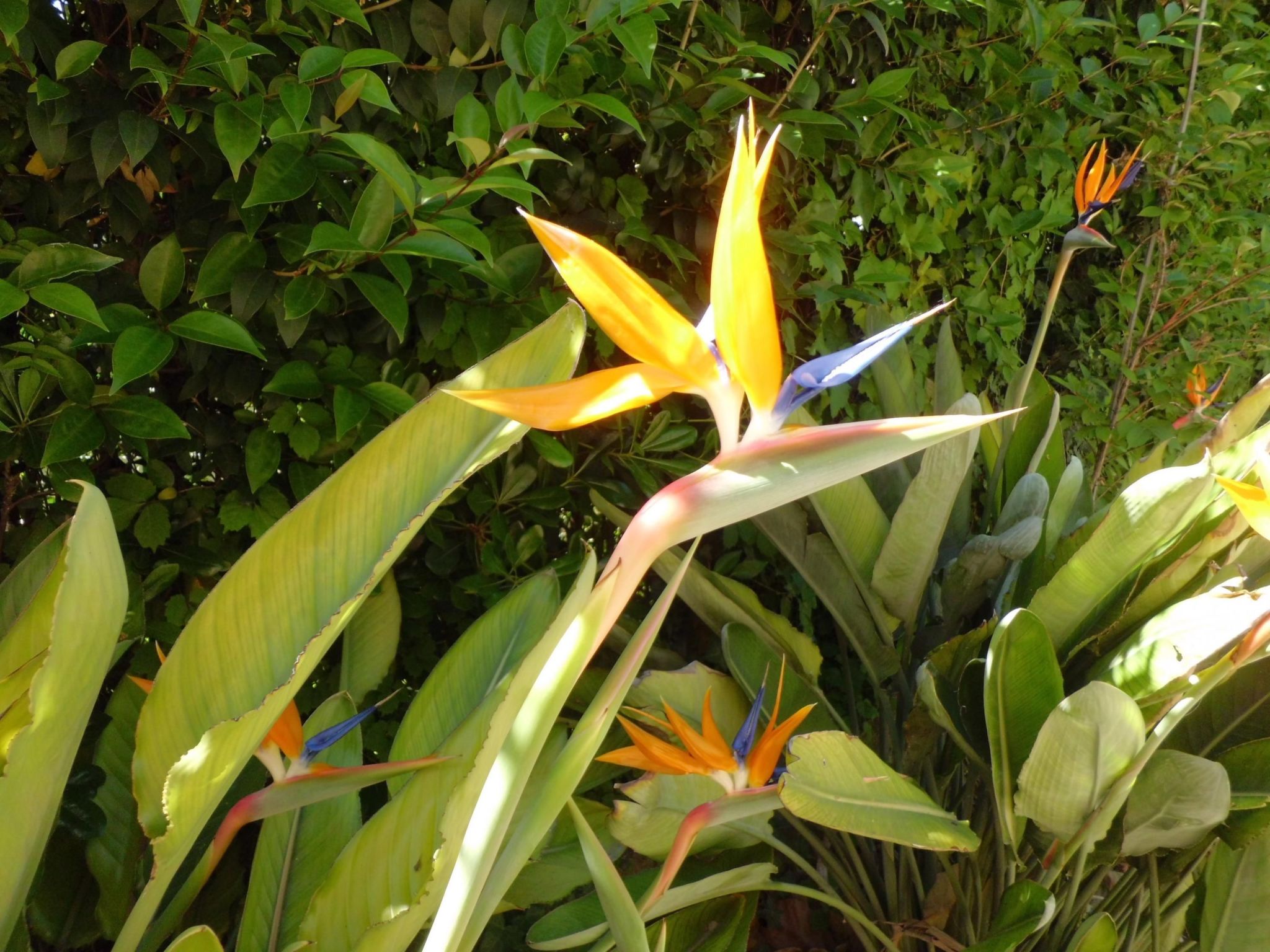 Appartment Laura-Inside