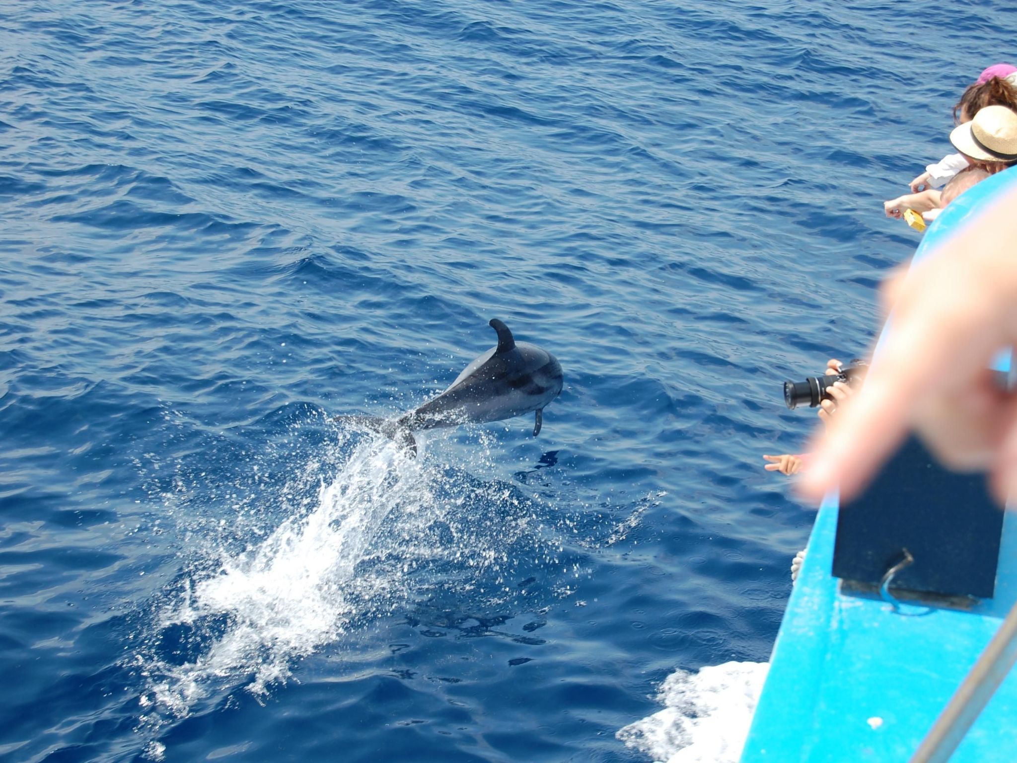 Appartment Laura-Inside