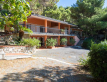 Apartment A1 (AND110)