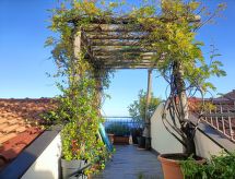 Terrazza con glicine