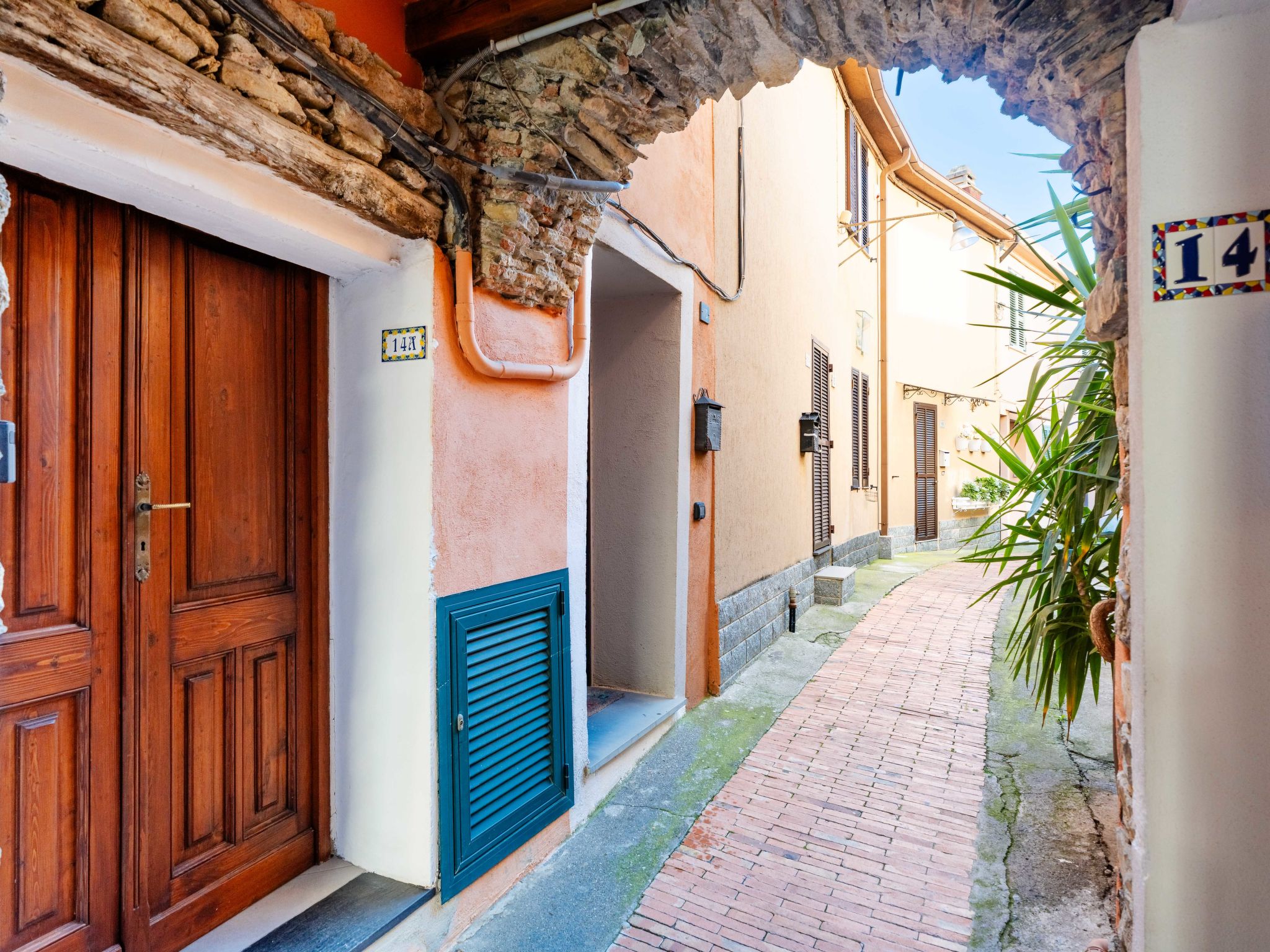 Photo of Terrazza con glicine