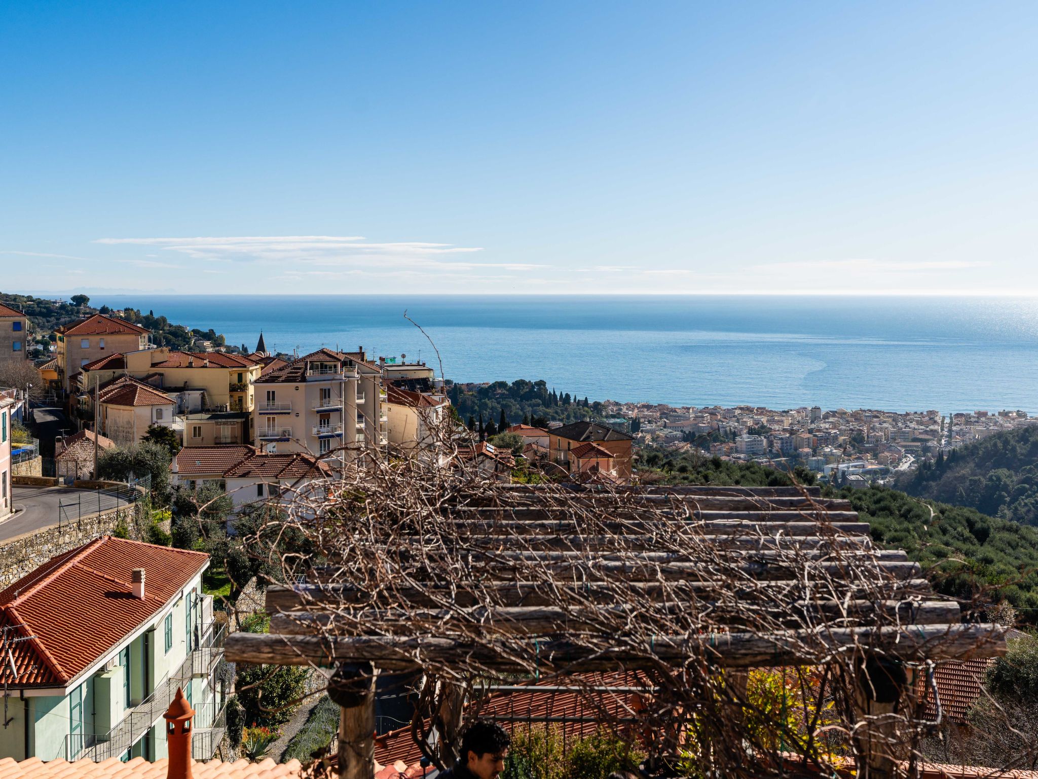 Photo of Terrazza con glicine