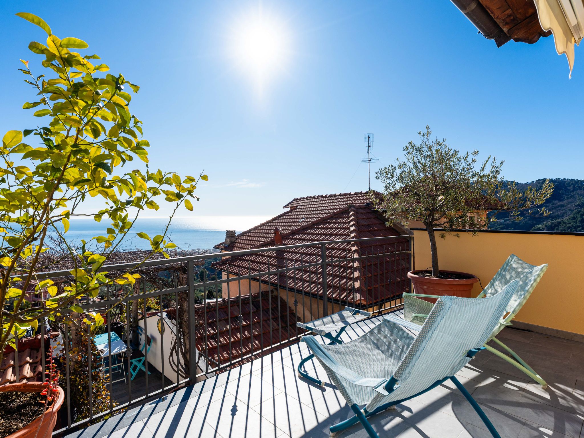 Photo of Terrazza con glicine