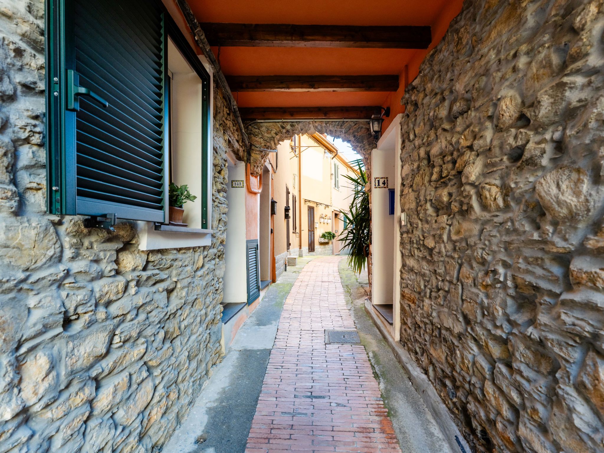 Photo of Terrazza con glicine