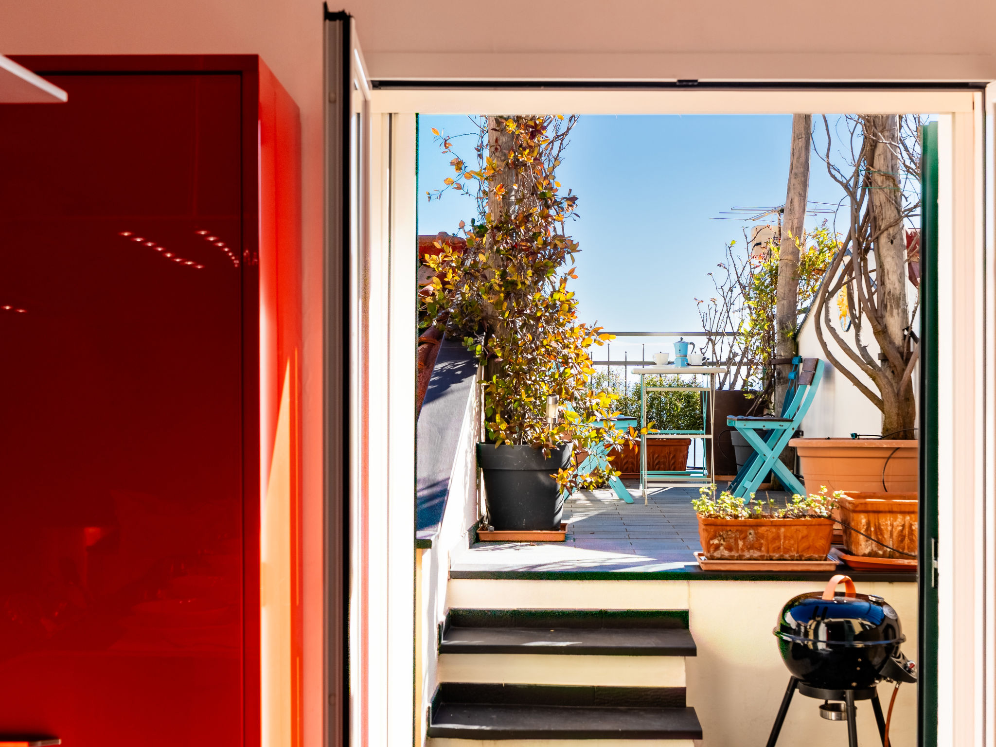 Photo of Terrazza con glicine