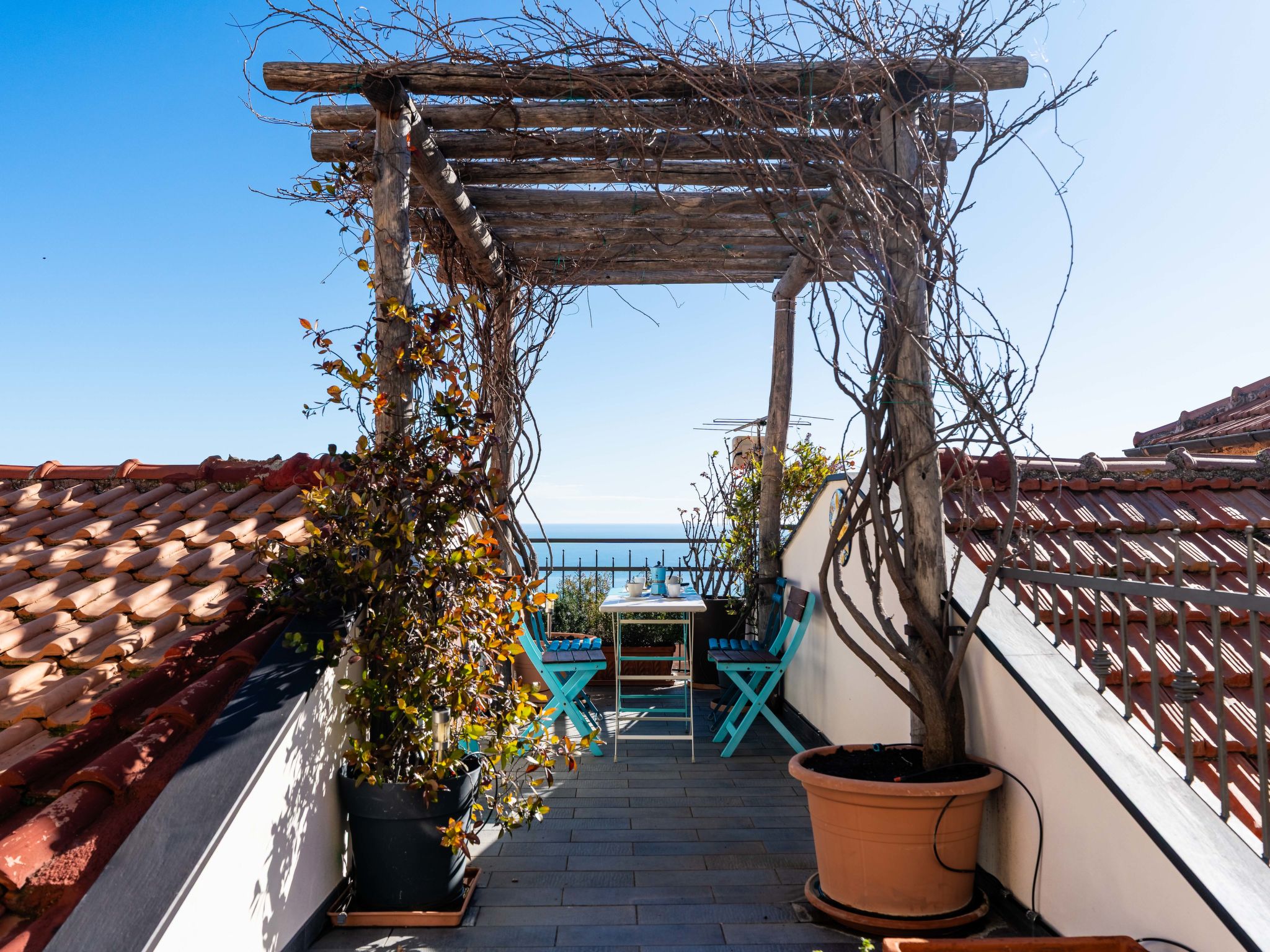 Photo of Terrazza con glicine