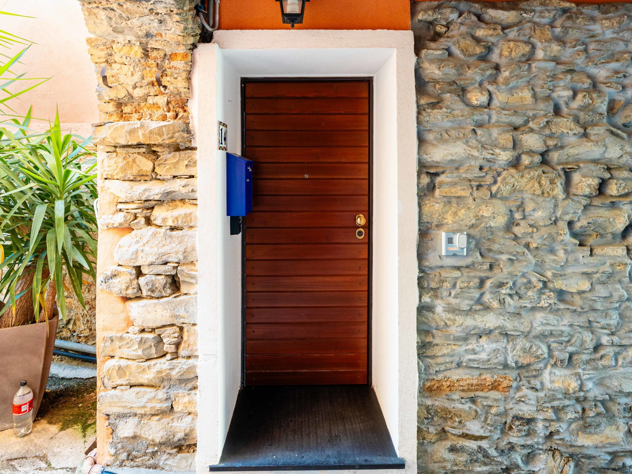 Photo of Terrazza con glicine