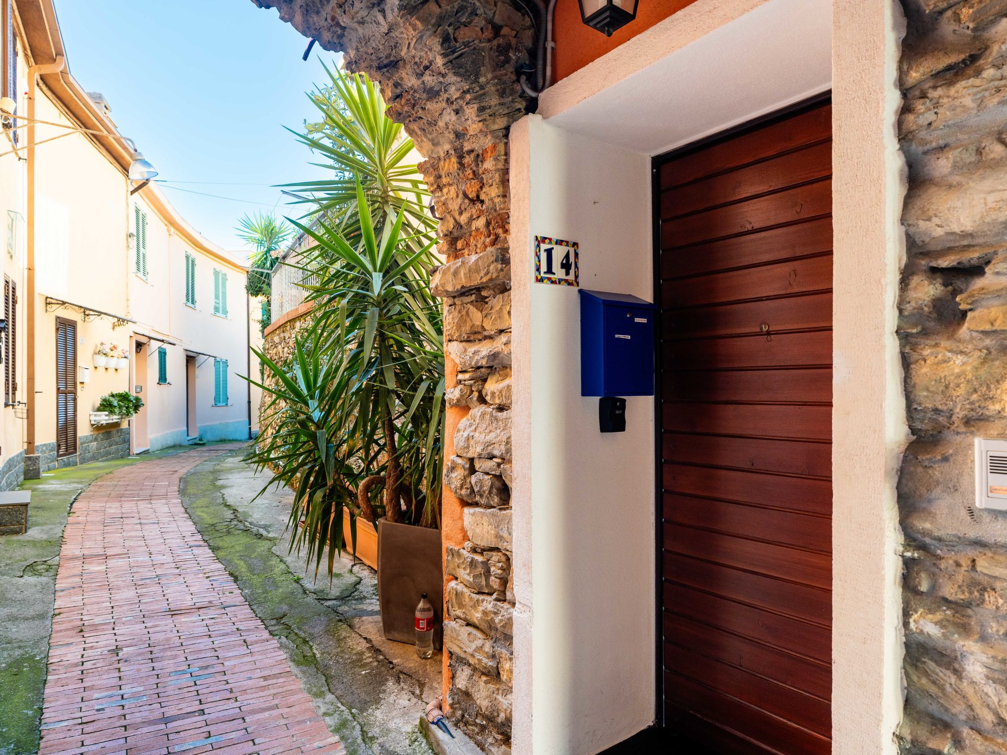 Photo of Terrazza con glicine