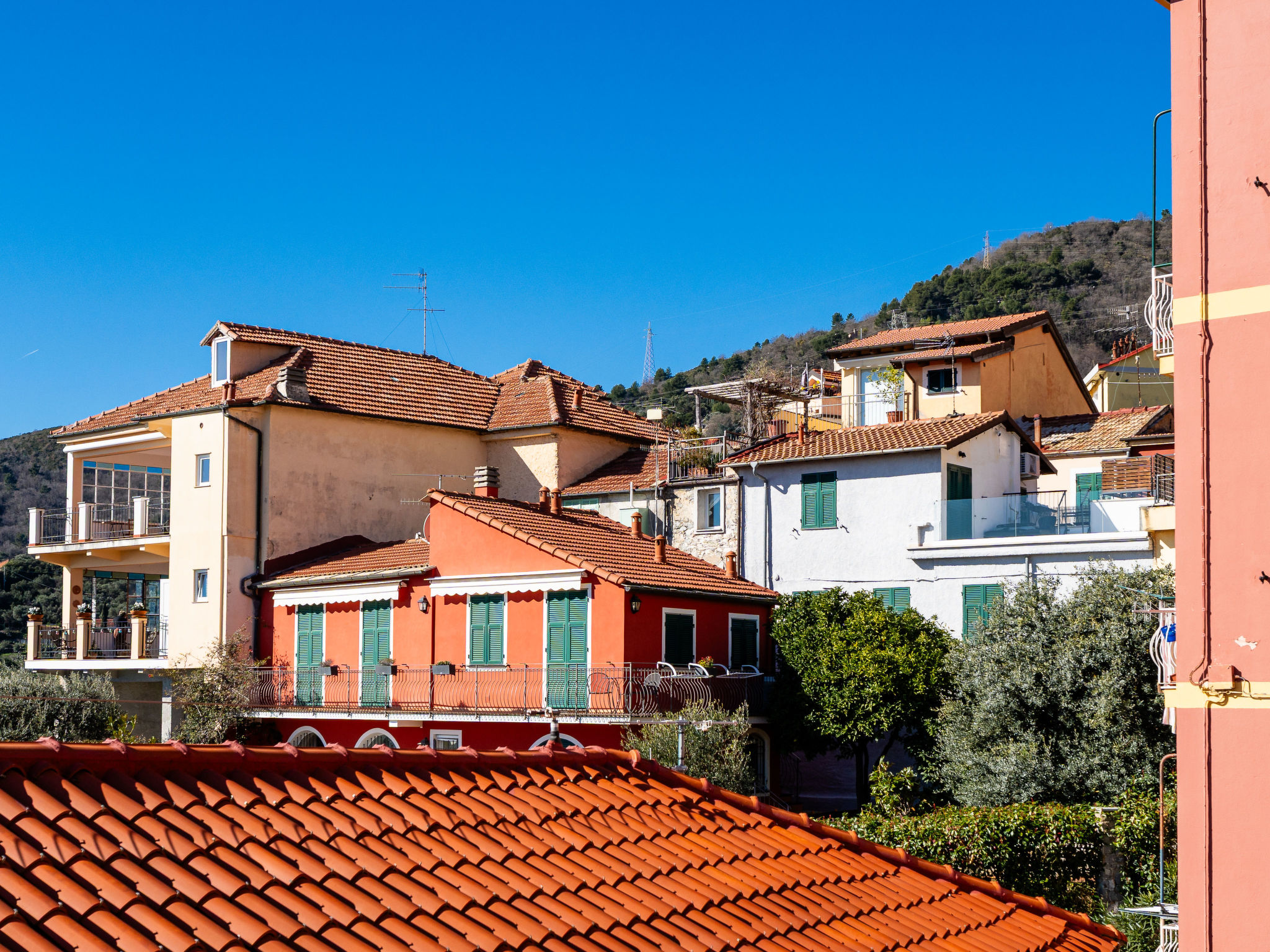 Photo of Terrazza con glicine