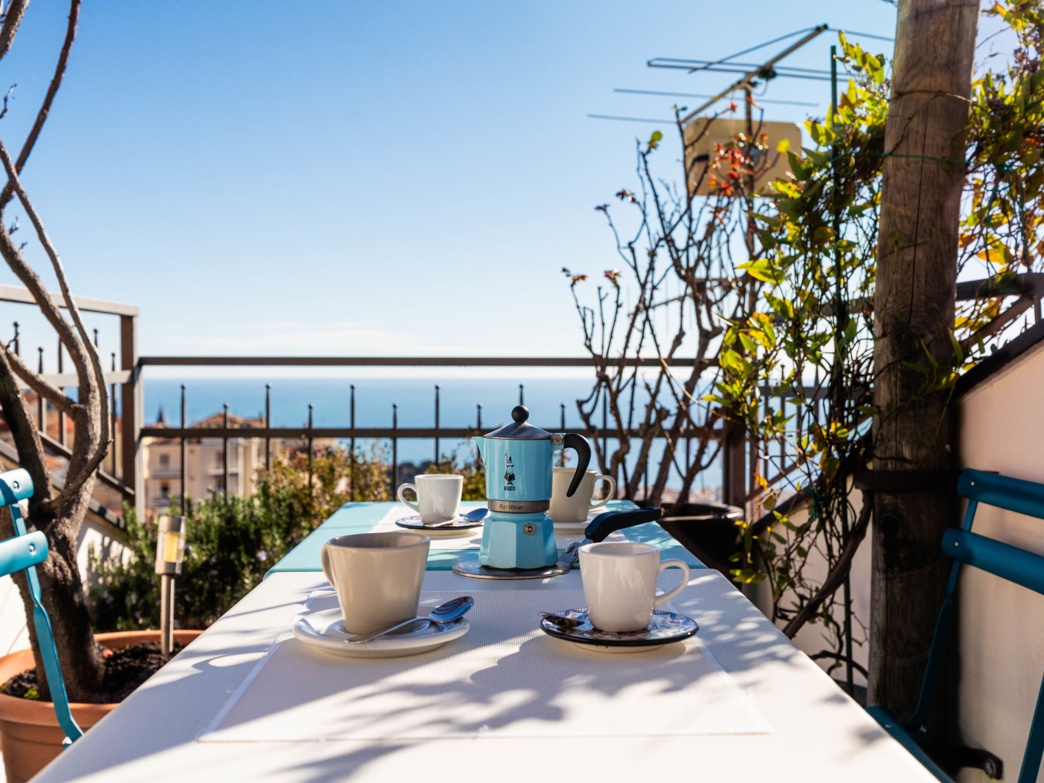 Photo of Terrazza con glicine