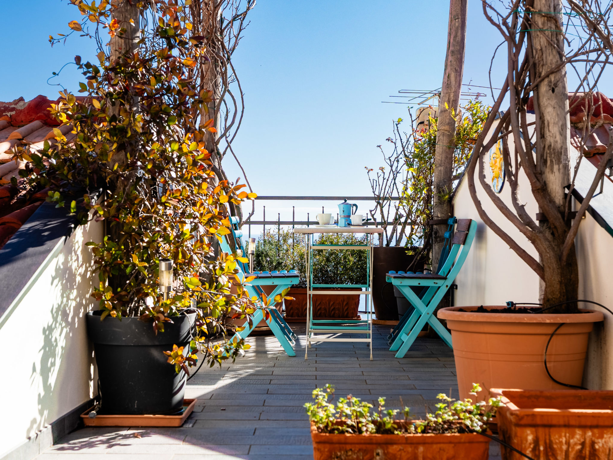 Photo of Terrazza con glicine