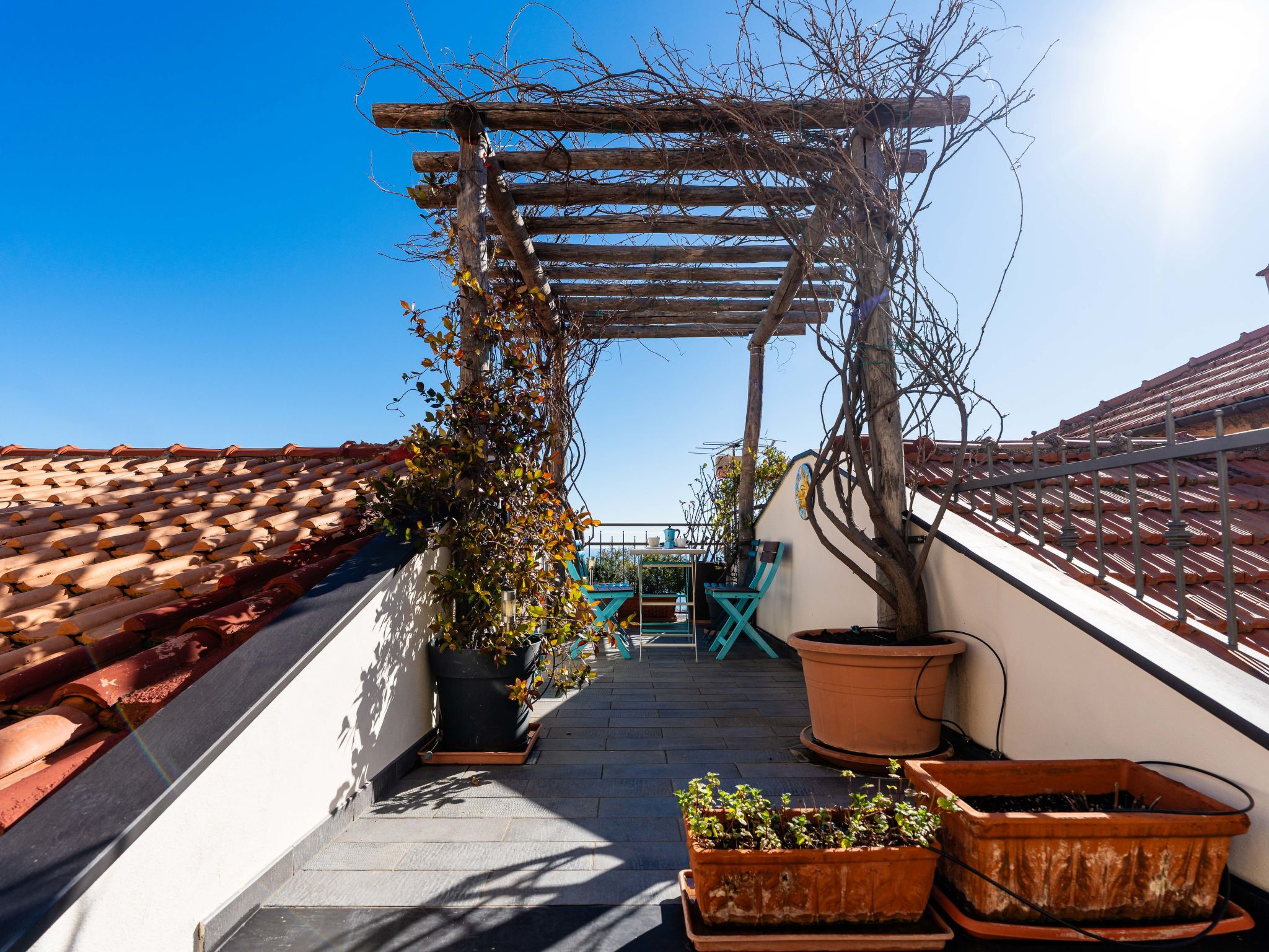 Photo of Terrazza con glicine